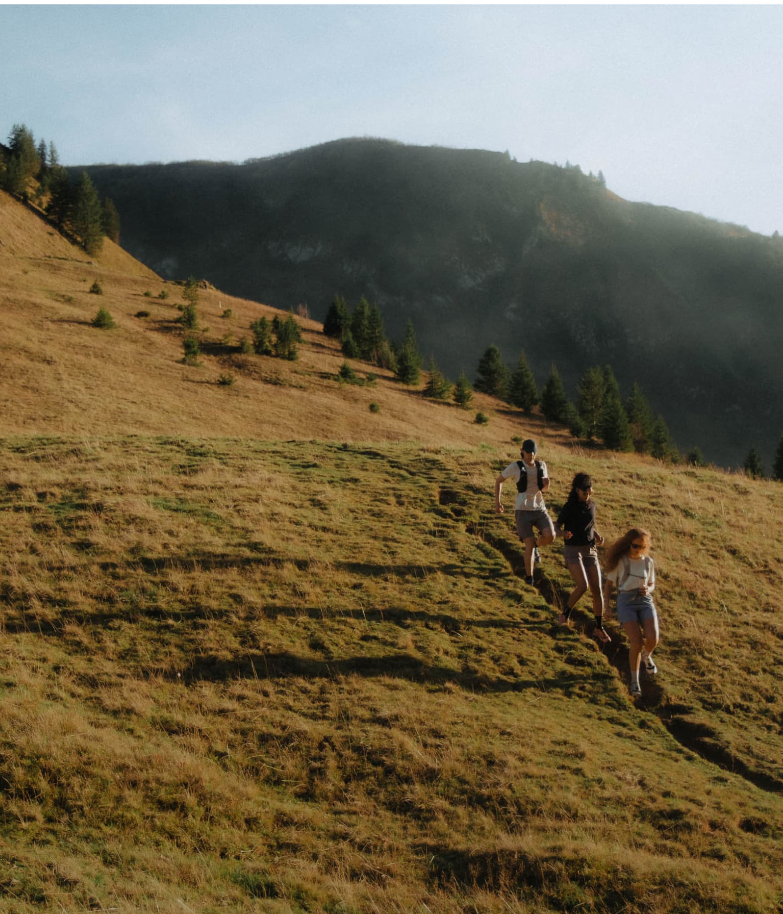 Four people hiking on a grassy hill with a mountain and trees in the background under a clear sky.