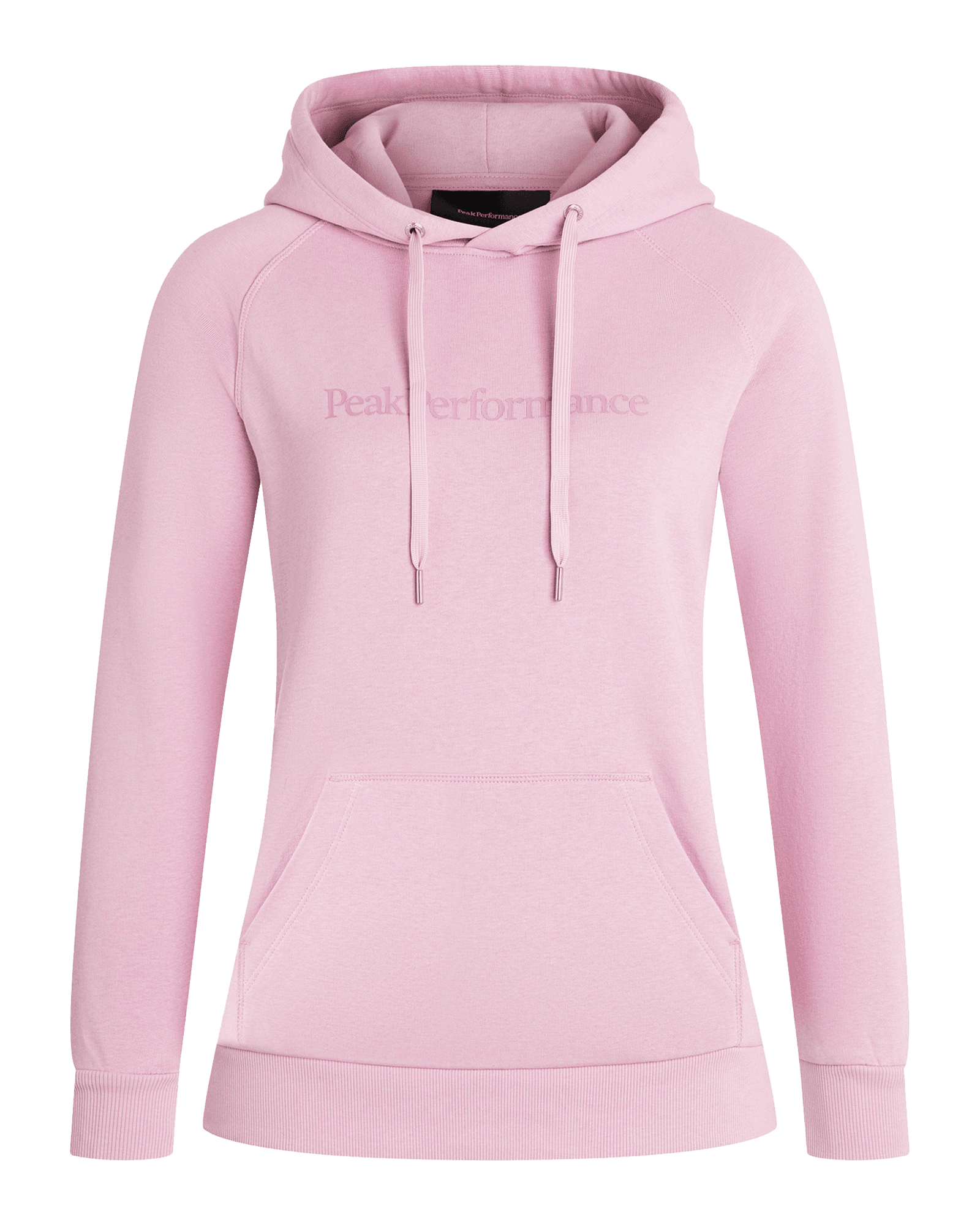 Statice Lilac