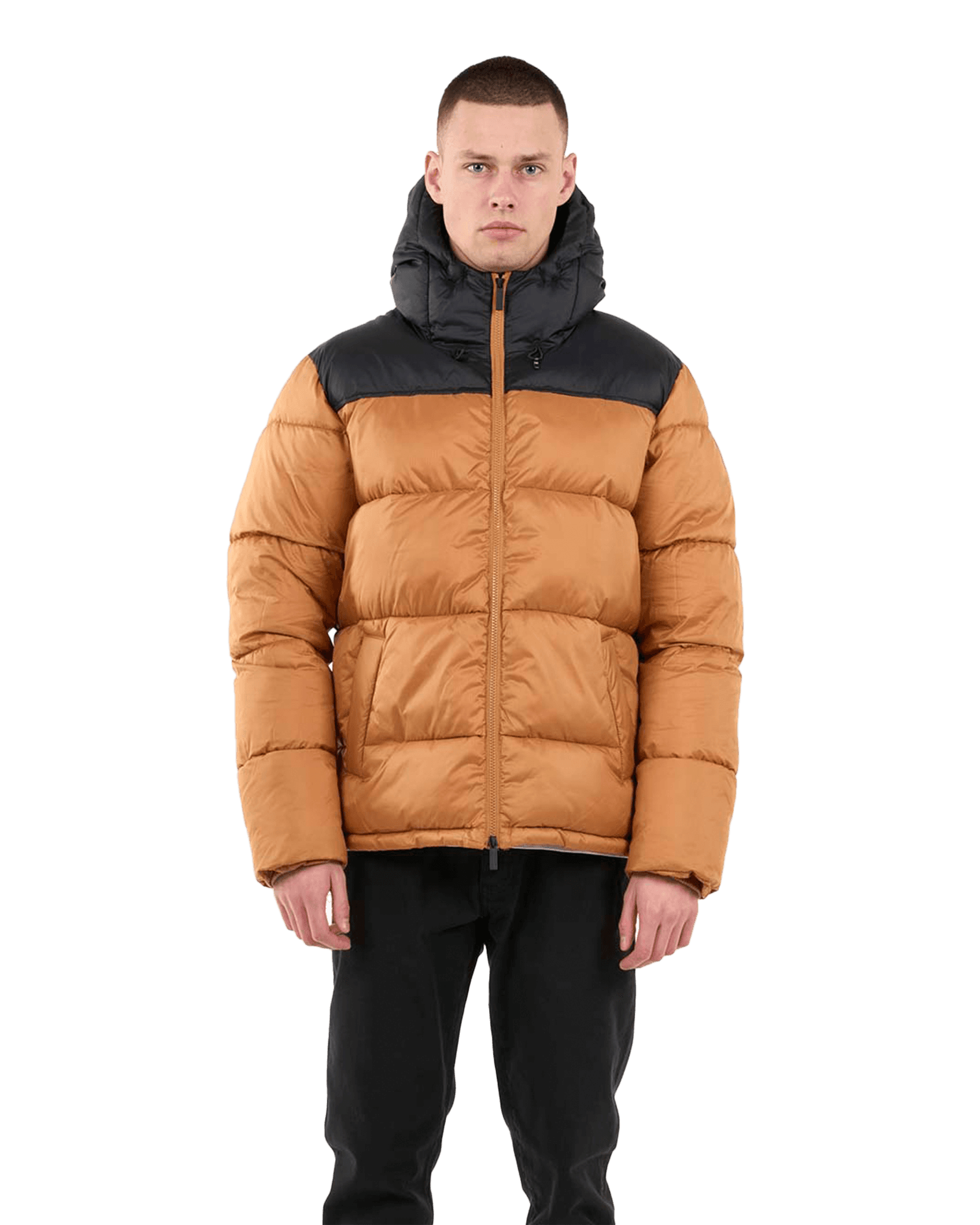 Thermore™ Puffer Color Blocked Jacket THERMO ACTIVE™ M Brown Sugar