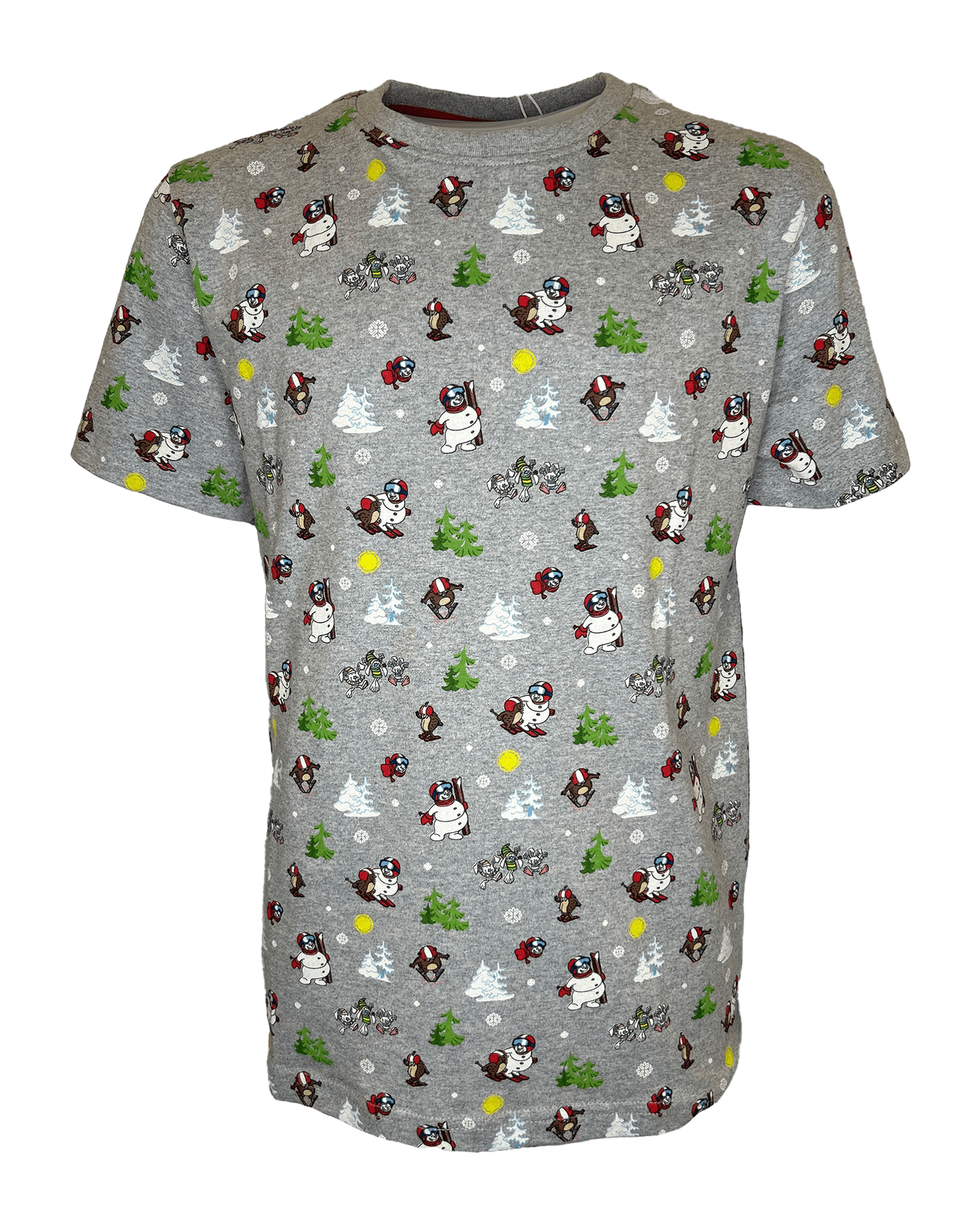 Valles Woods Tee JR Grey Melange