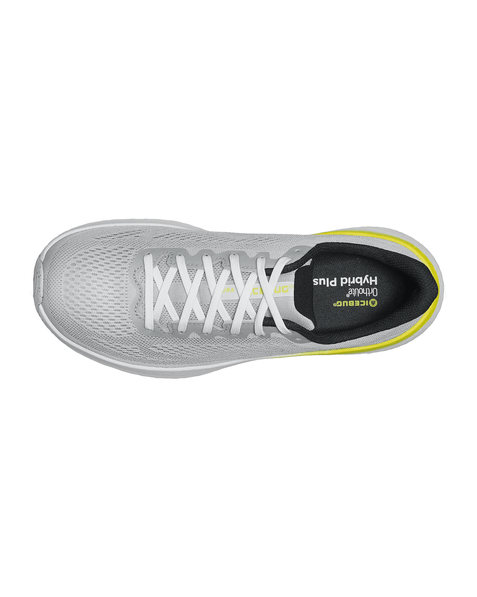 LightGrey/Lime