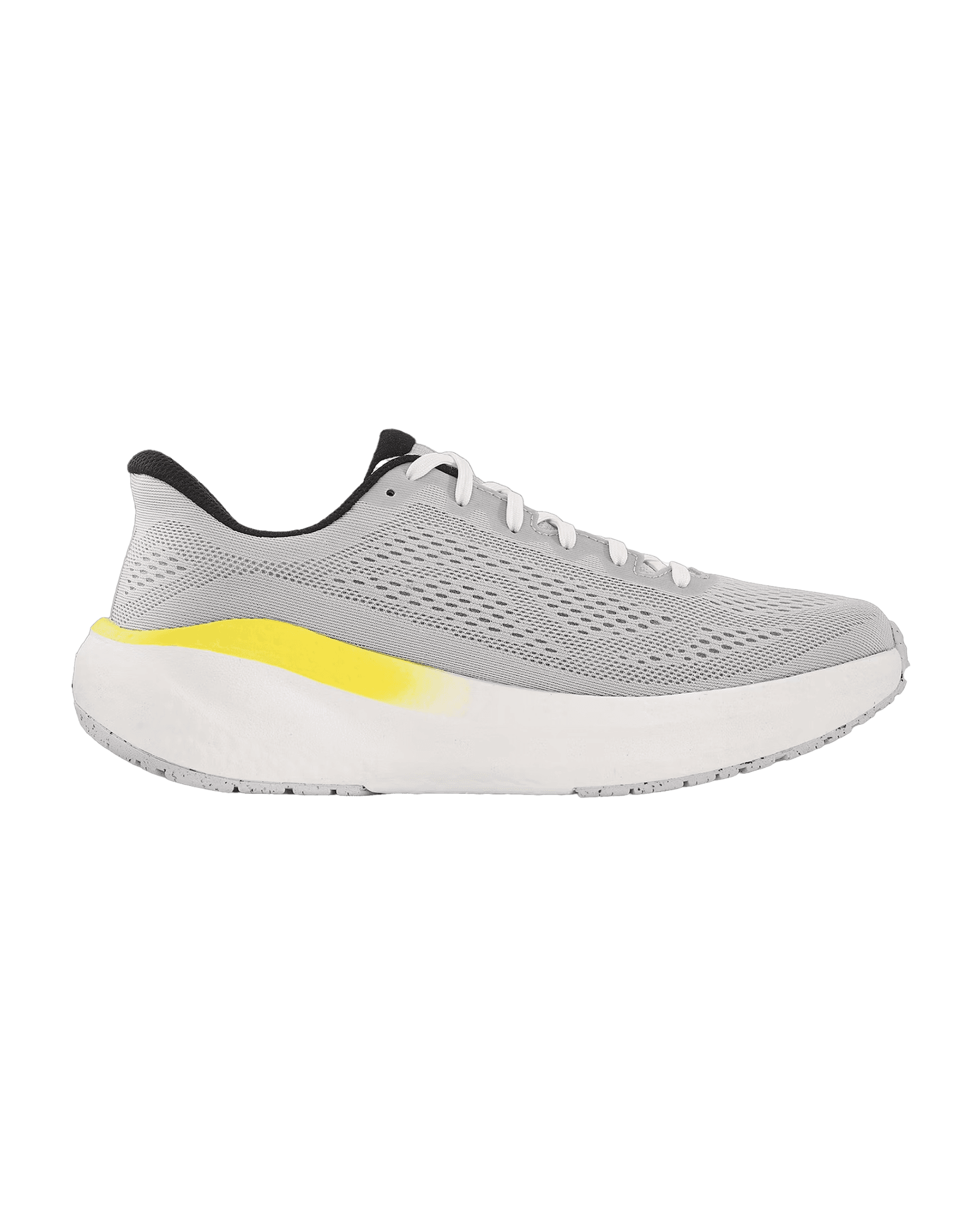 LightGrey/Lime