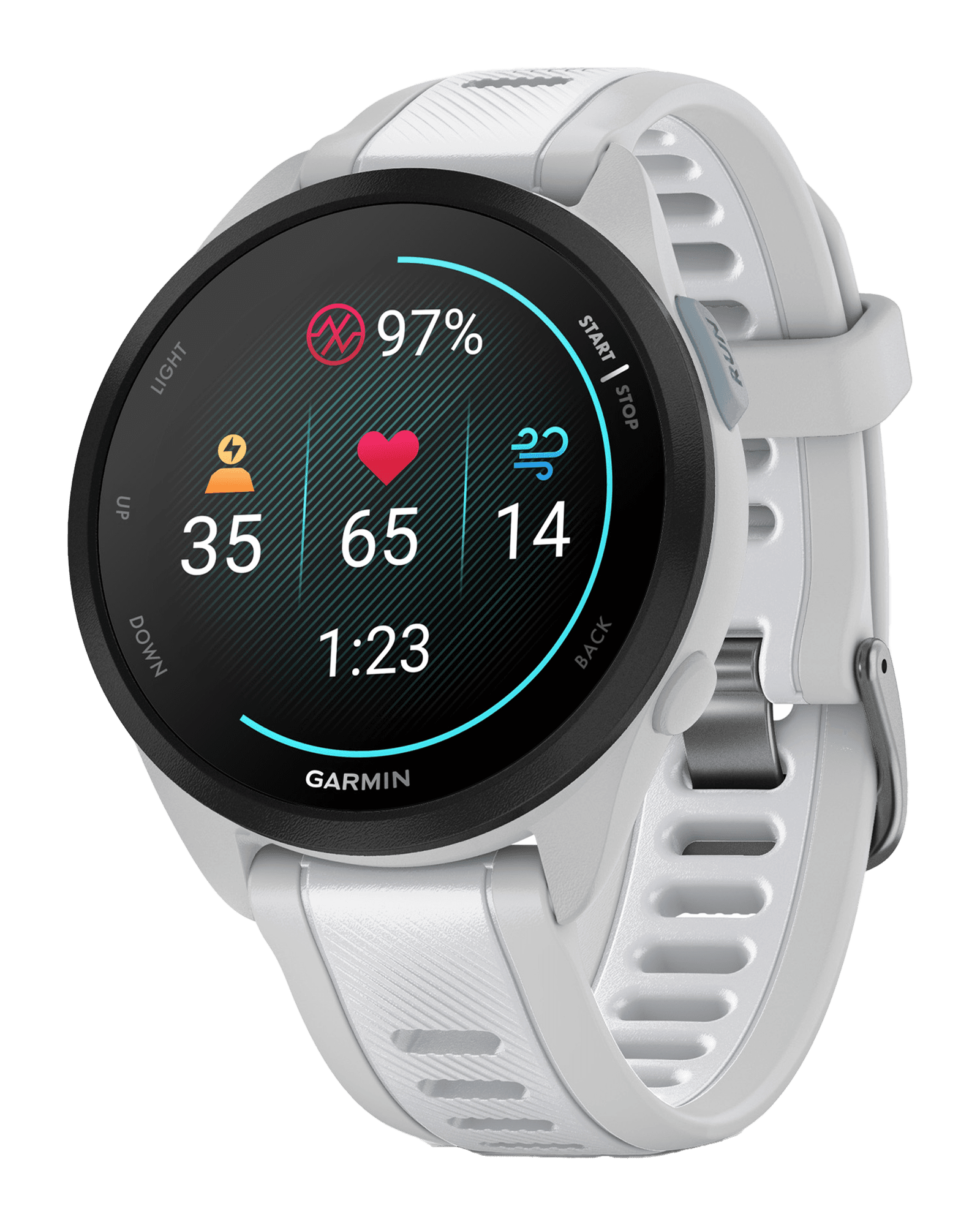 Forerunner 165 Music, GPS, WiFi Mist Grey/Whitestone