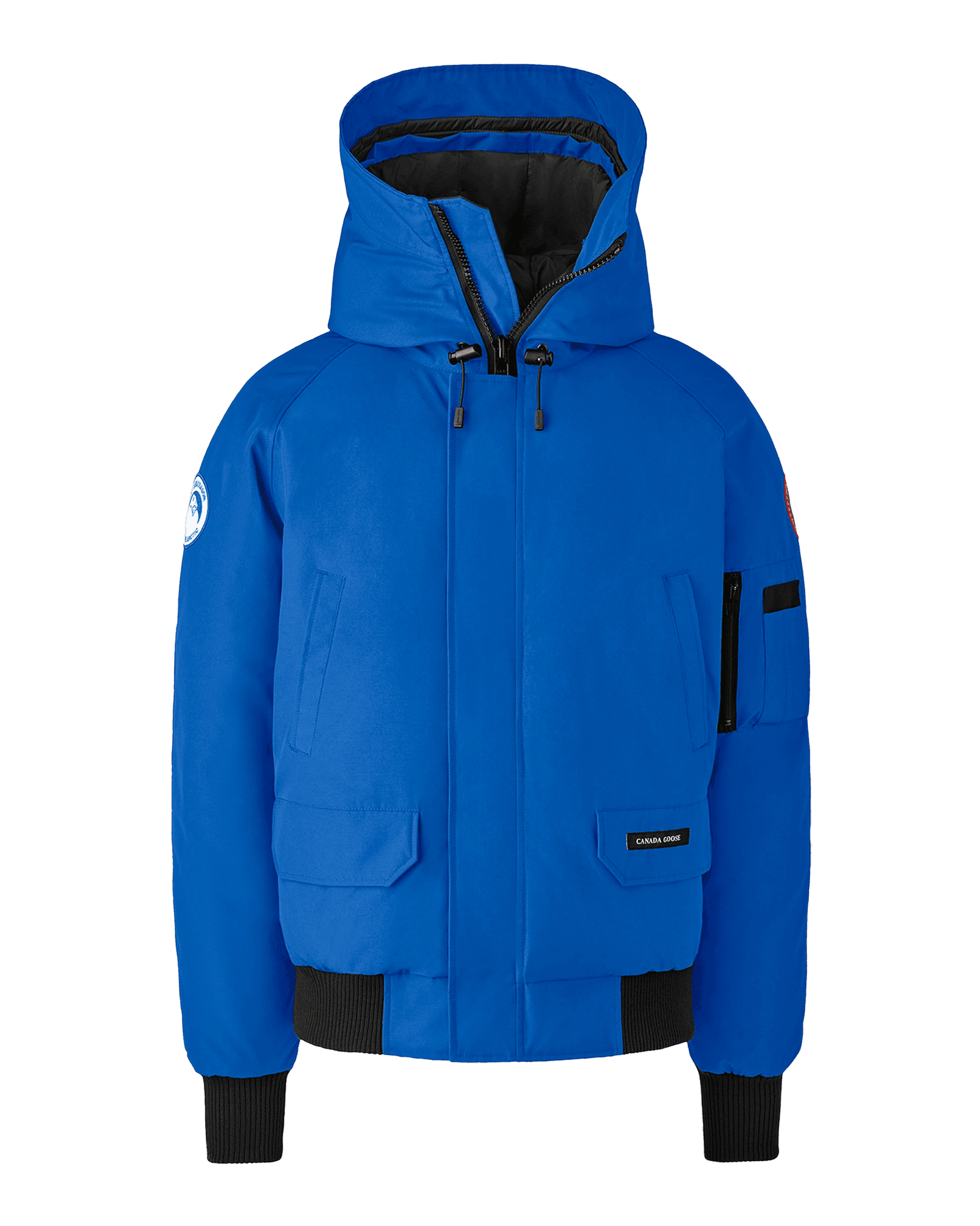 Chilliwack Bomber M Royal PBI Blue