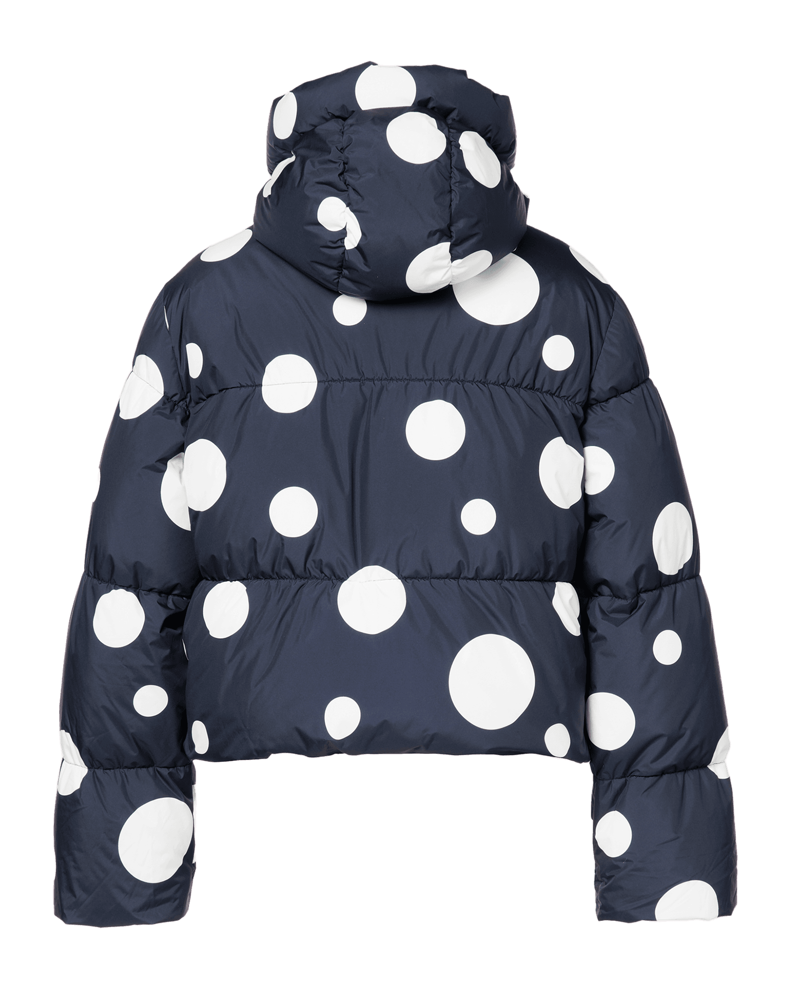 Dot Black