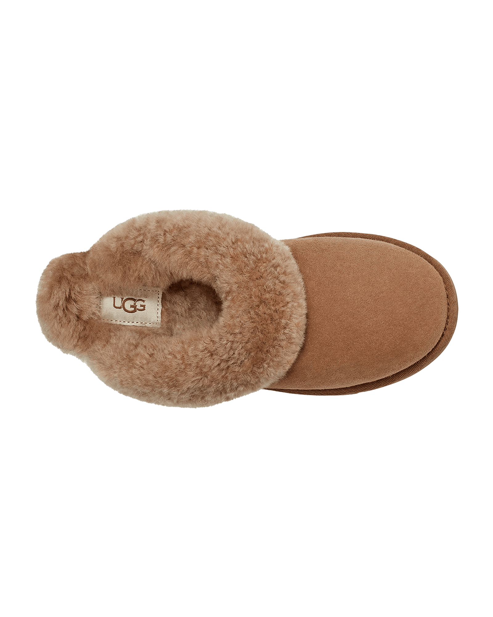 Chestnut