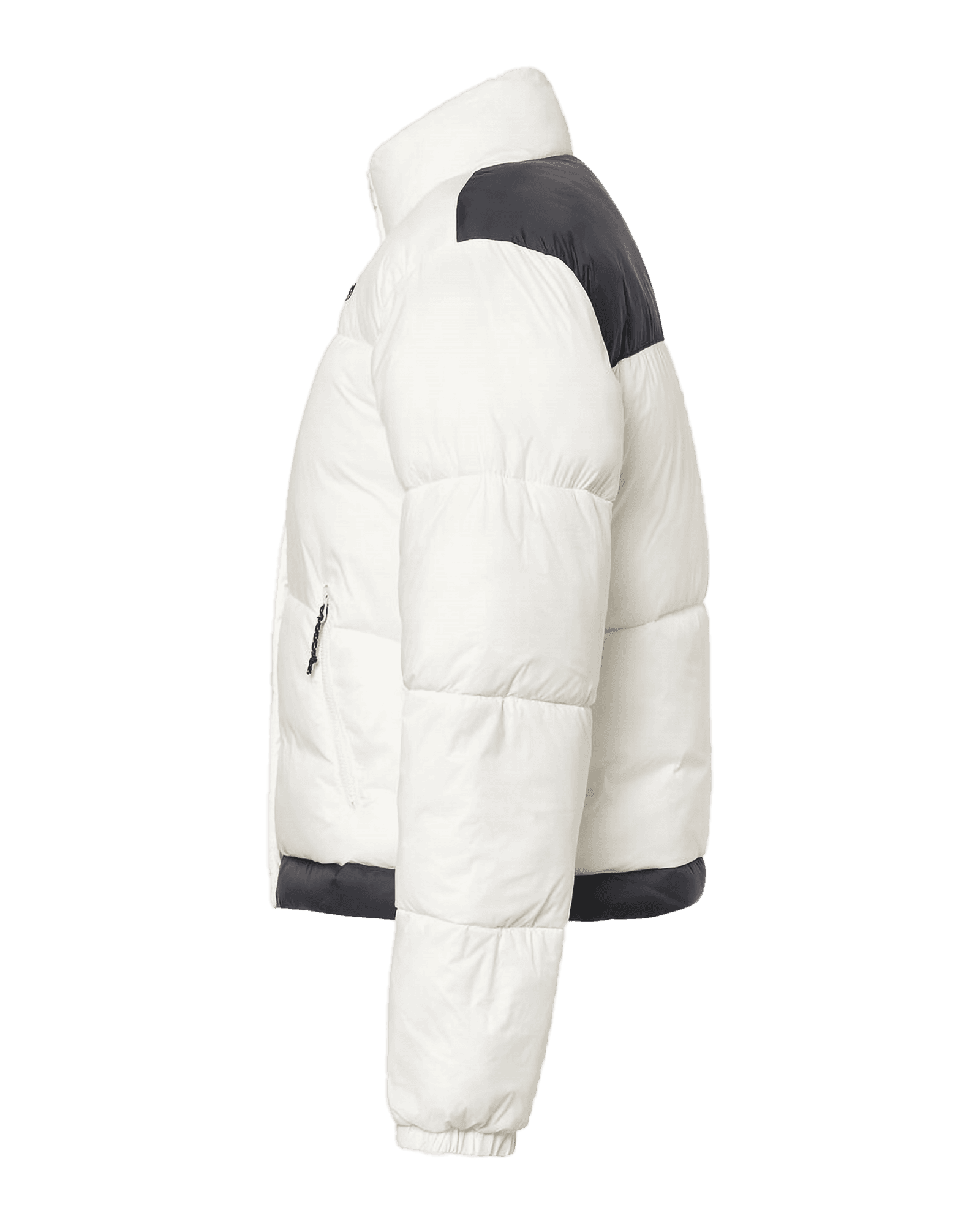 Arctic White