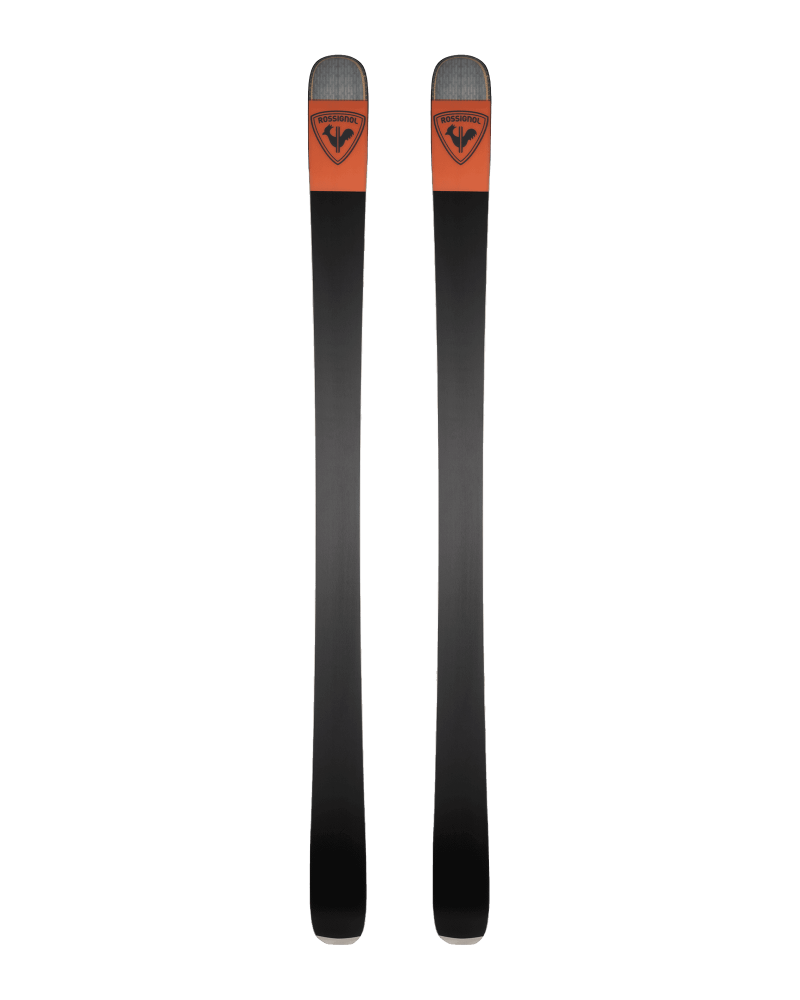 One Colour