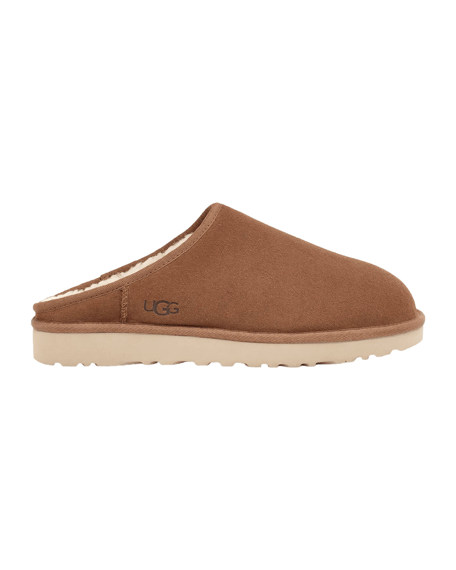 Chestnut