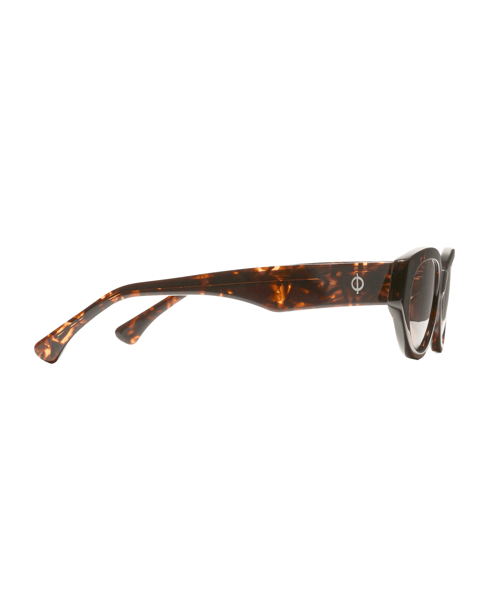 Tortoise Brown
