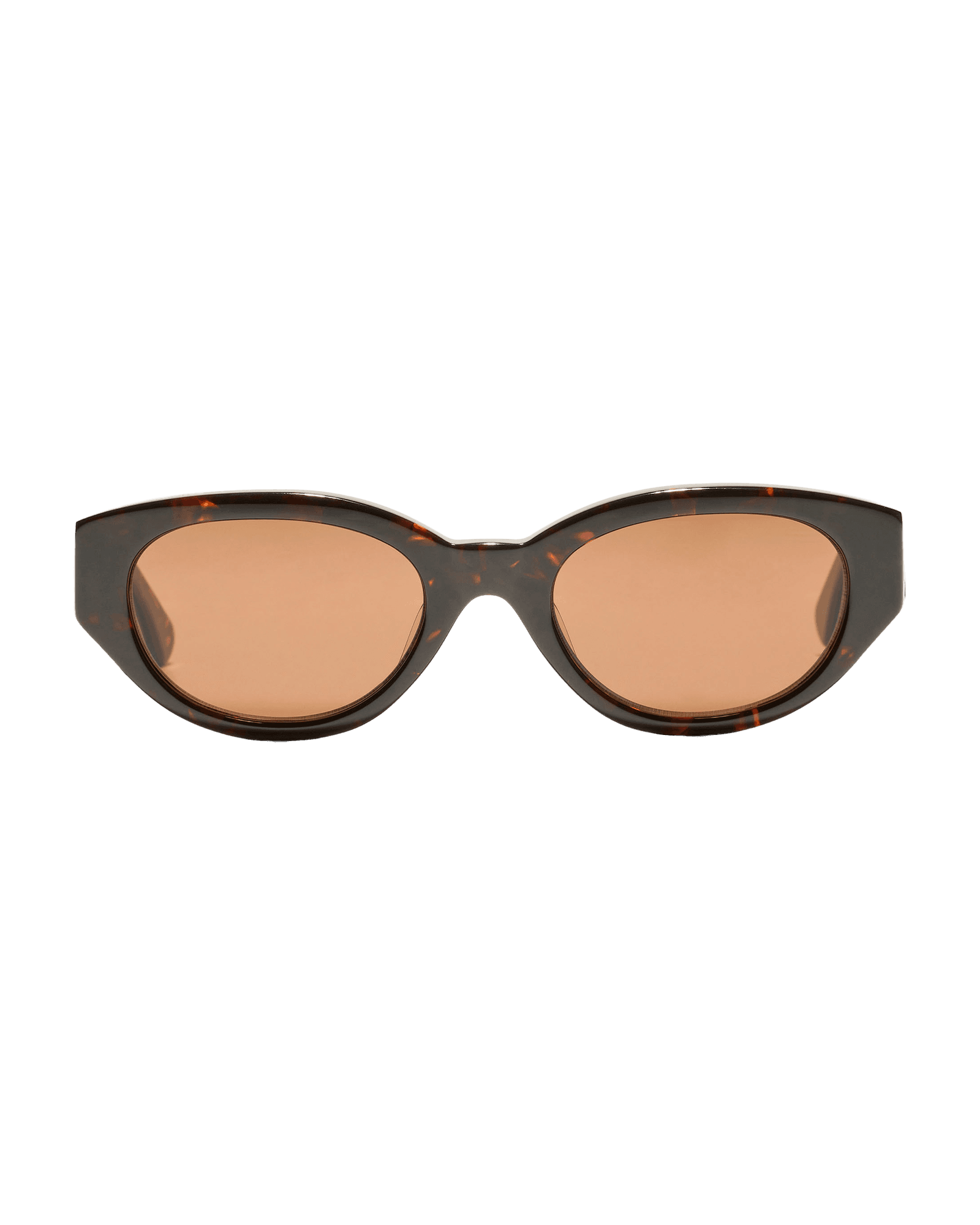 Tortoise Brown