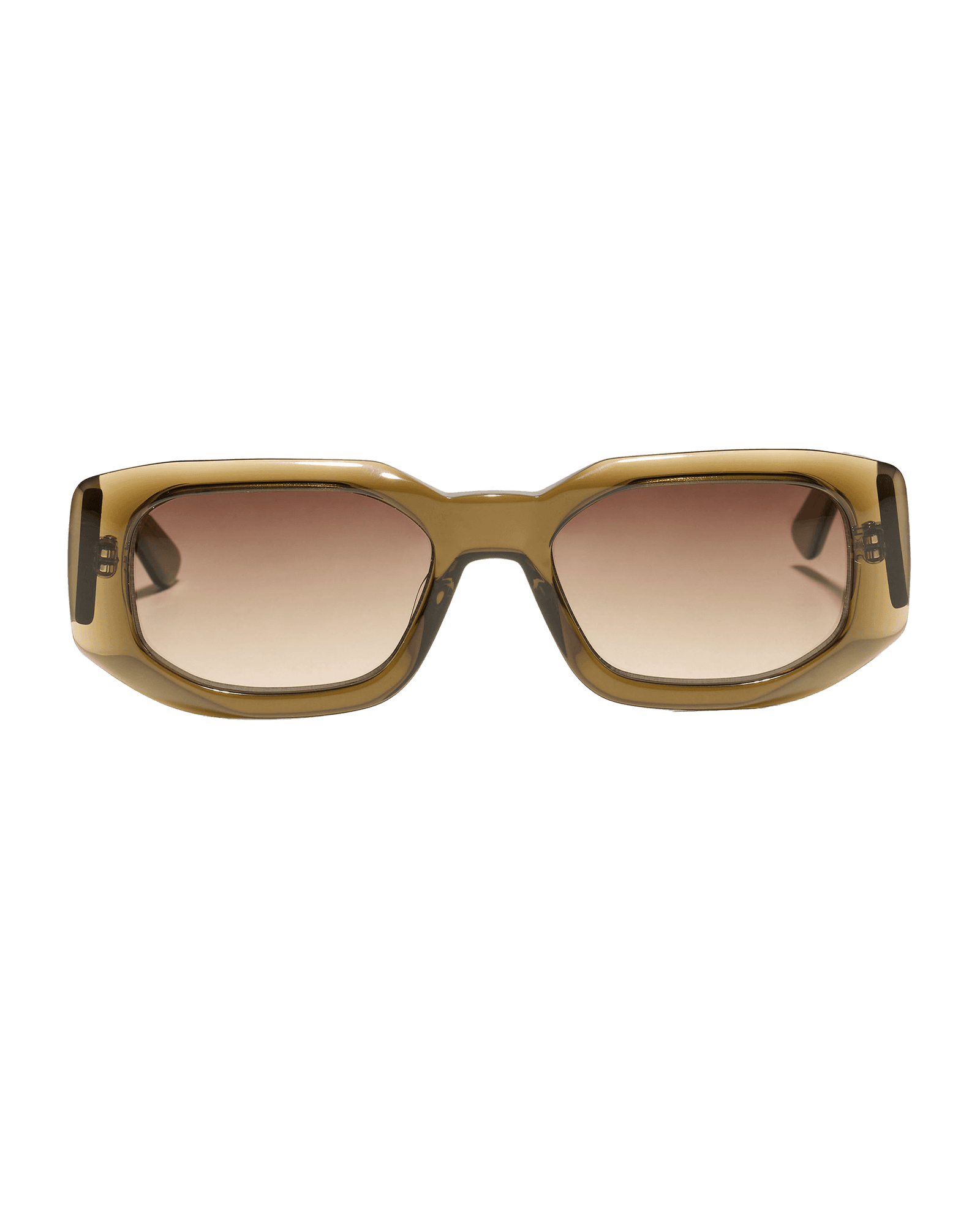 Tortoise Brown