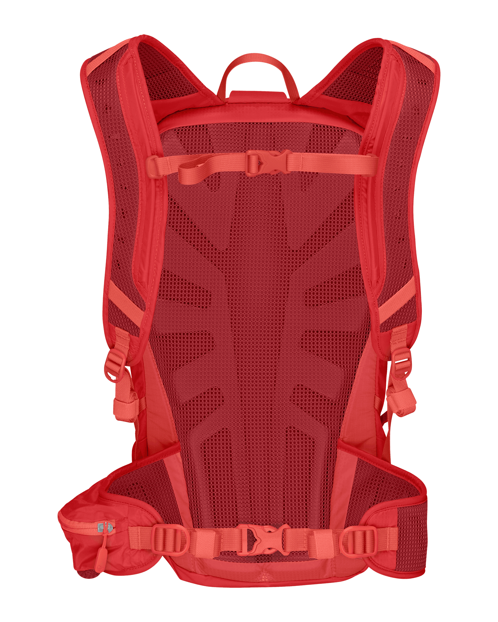 Paprika