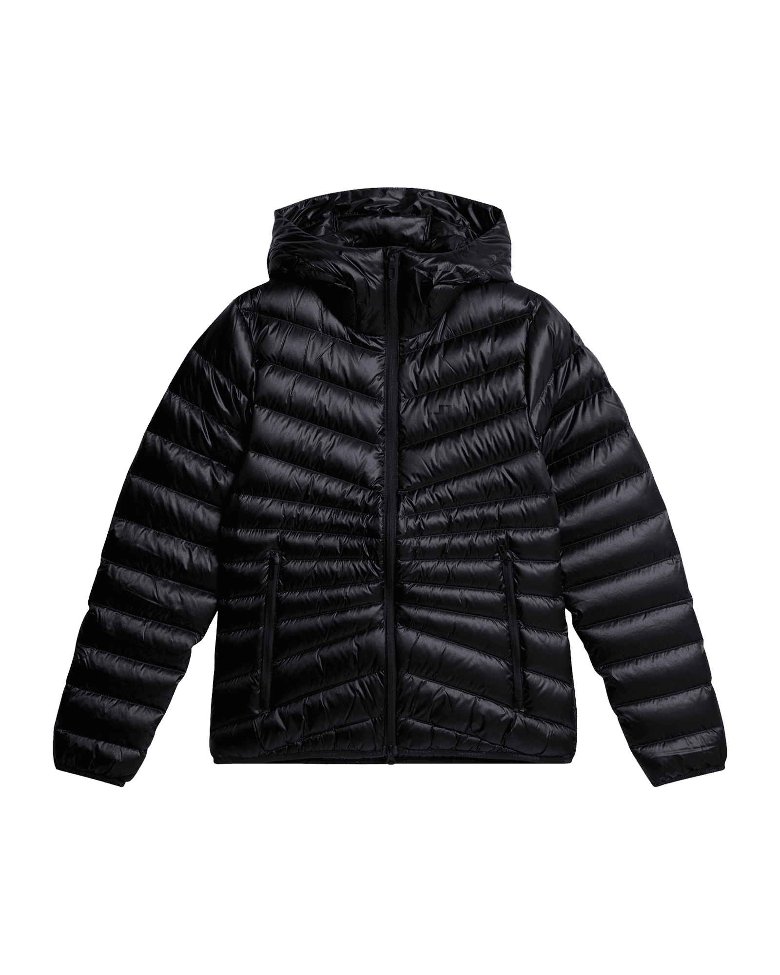 Lara Light Down Hood W Black