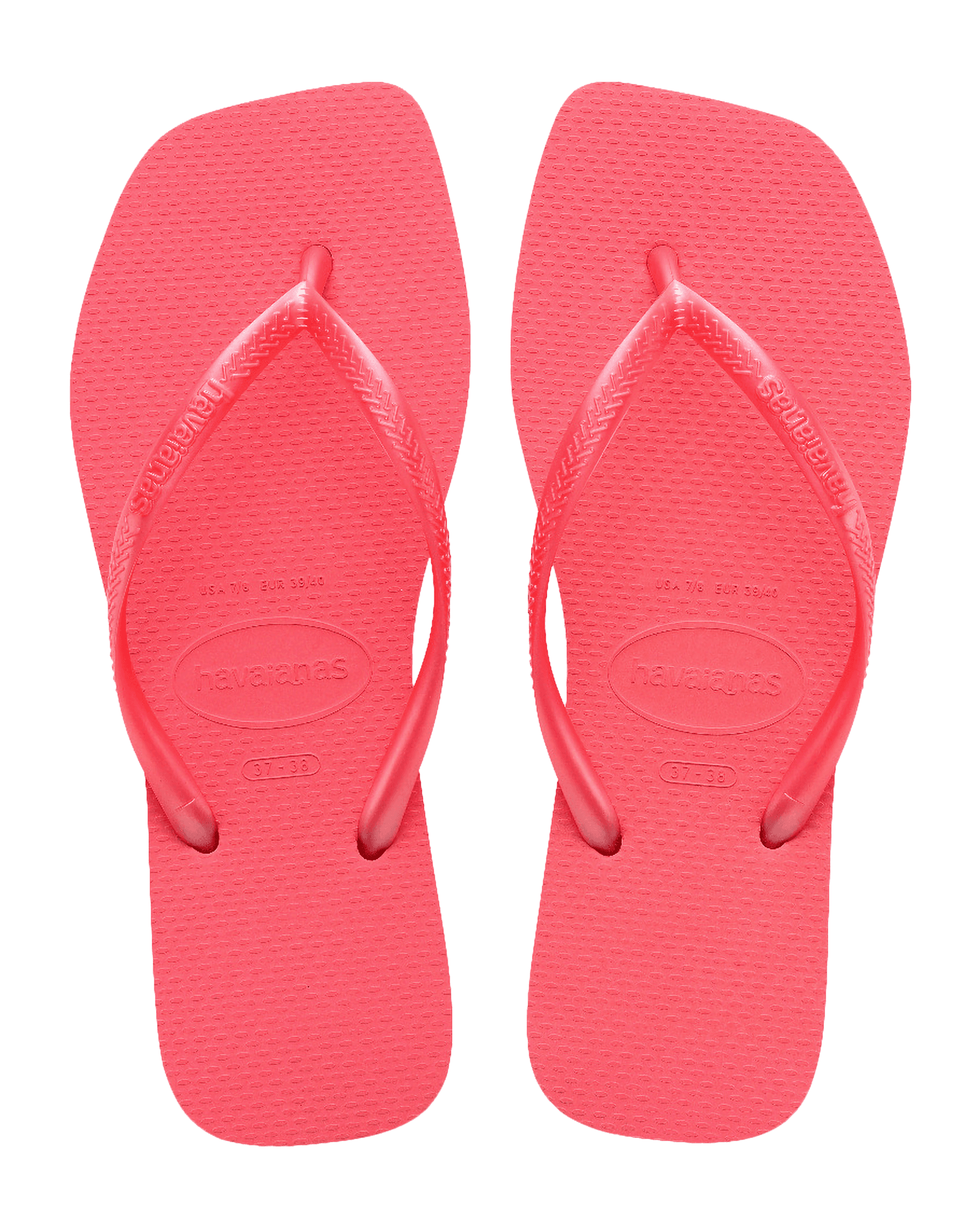 Tropical Coral