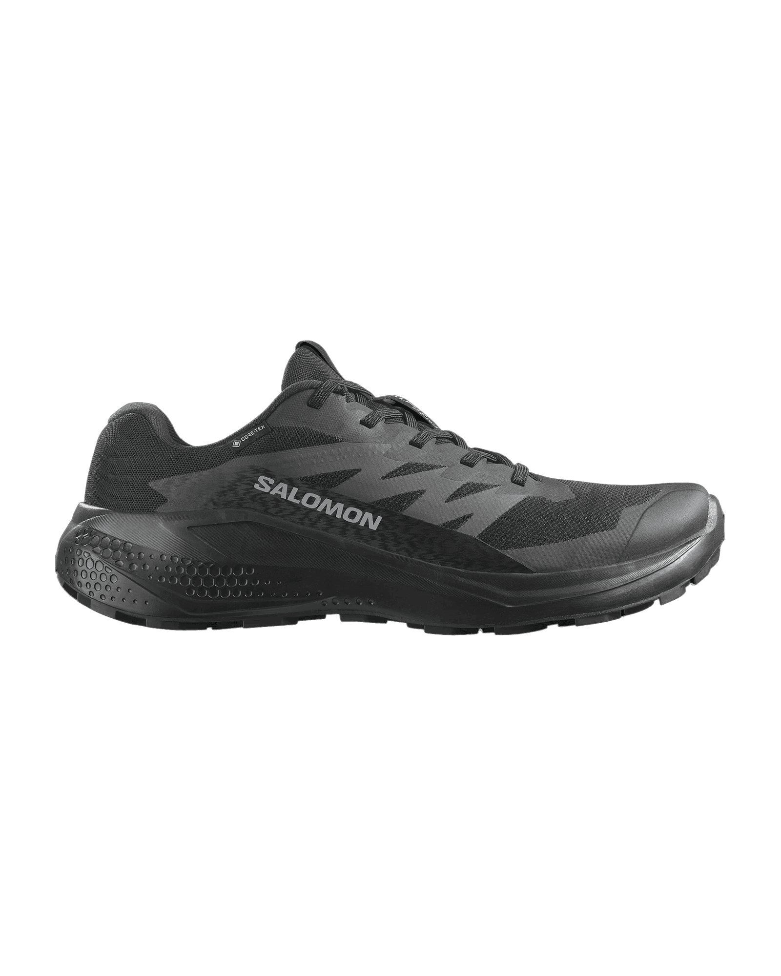 Alphaglide Gtx M Black/Asphalt/Black