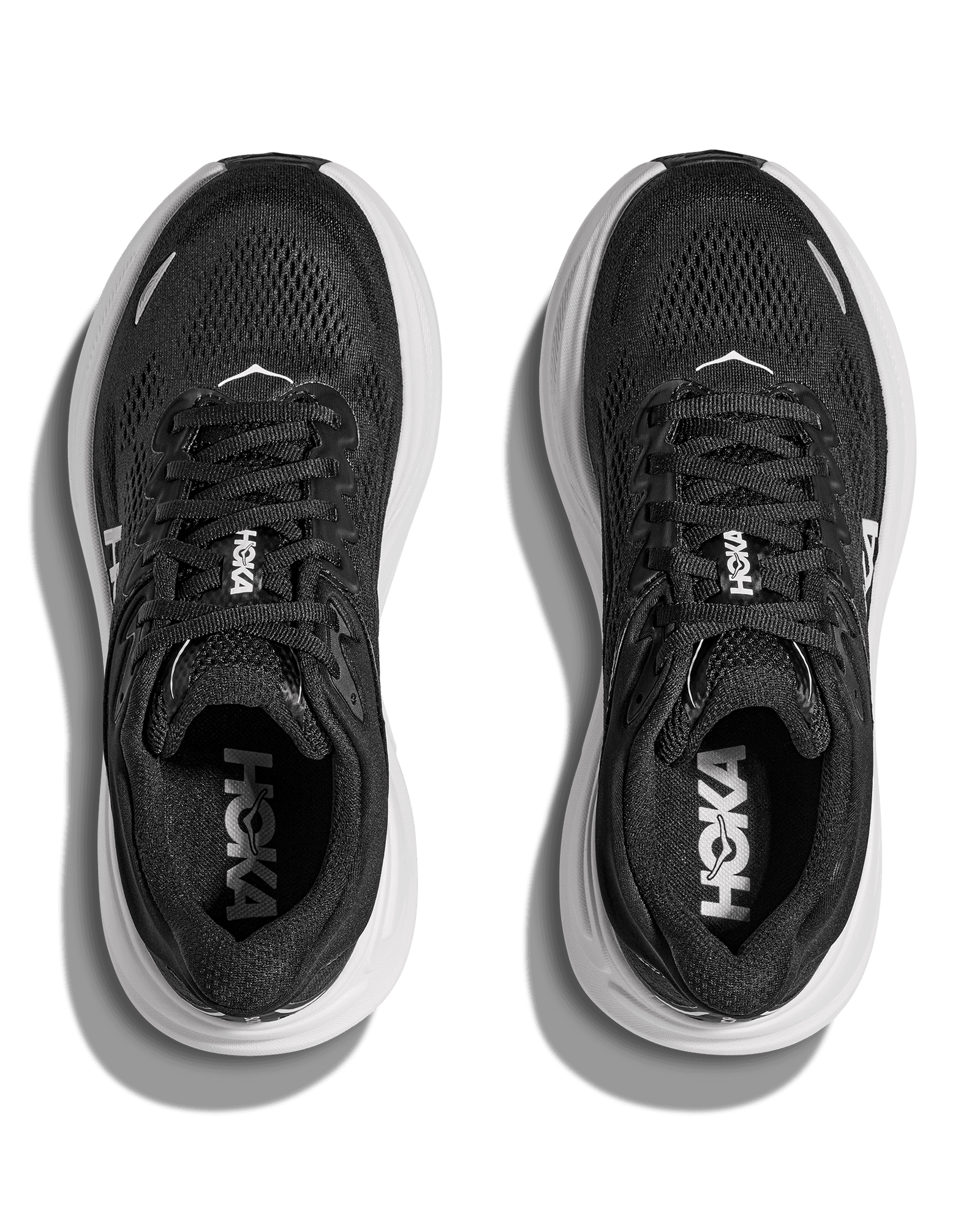 Black / White