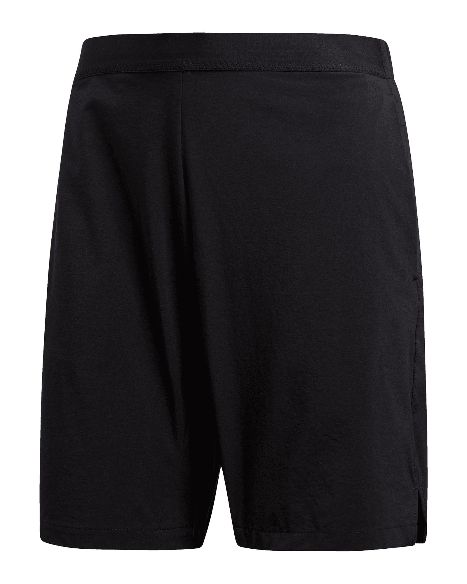Terrex Liteflex Short W Black