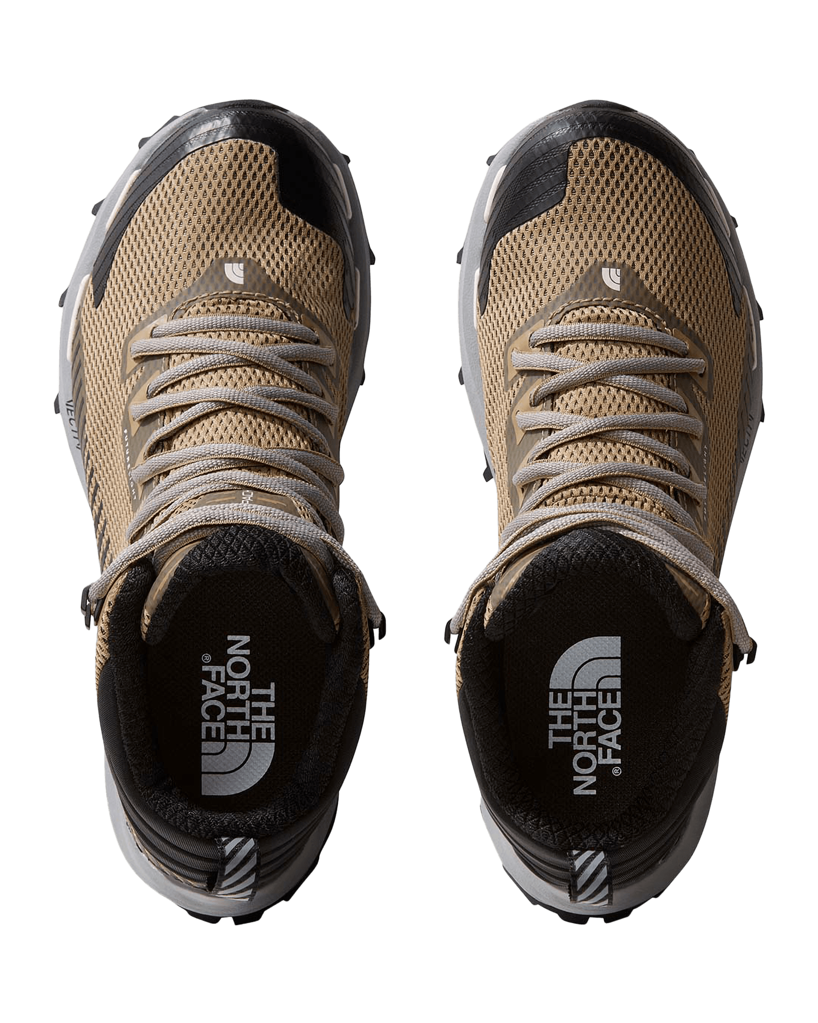 Kelp Tan/TNF Black