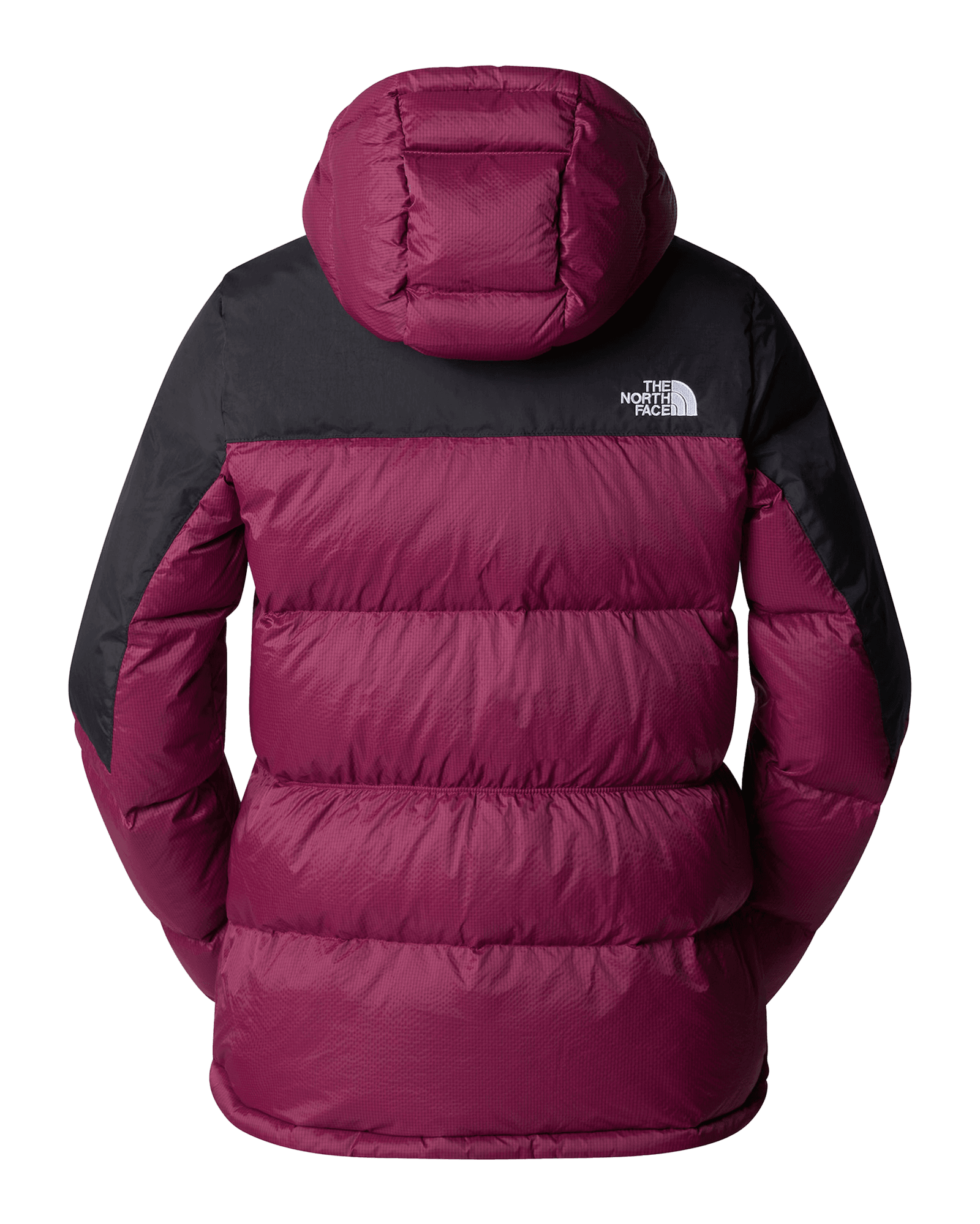 Boysenberry/TNF Black