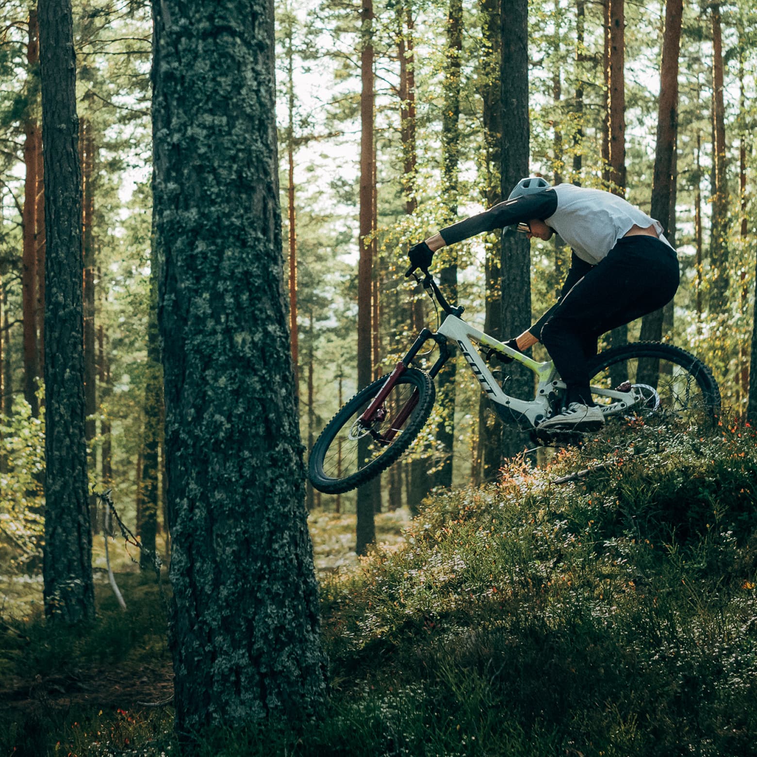Cyclist in motion rides a mountain bike through a dense forest, navigating over a small hill with focus and agility.