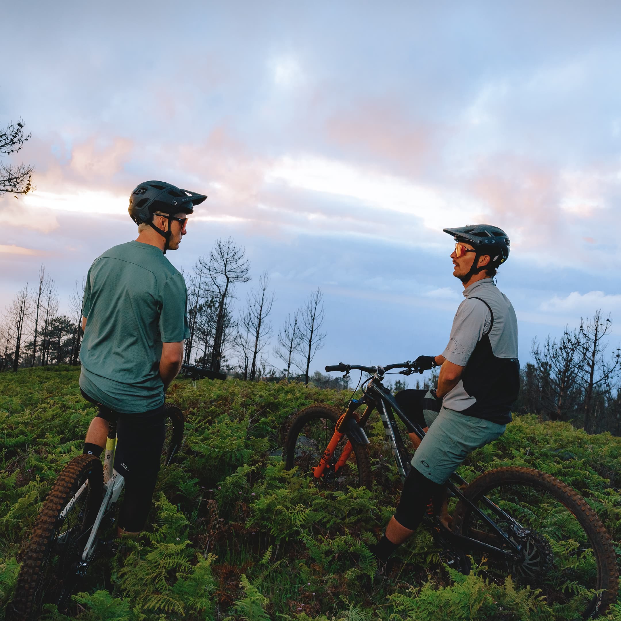 Two cyclists wearing helmets pause on a fern-covered hill under a cloudy sunset sky, surrounded by bare trees.