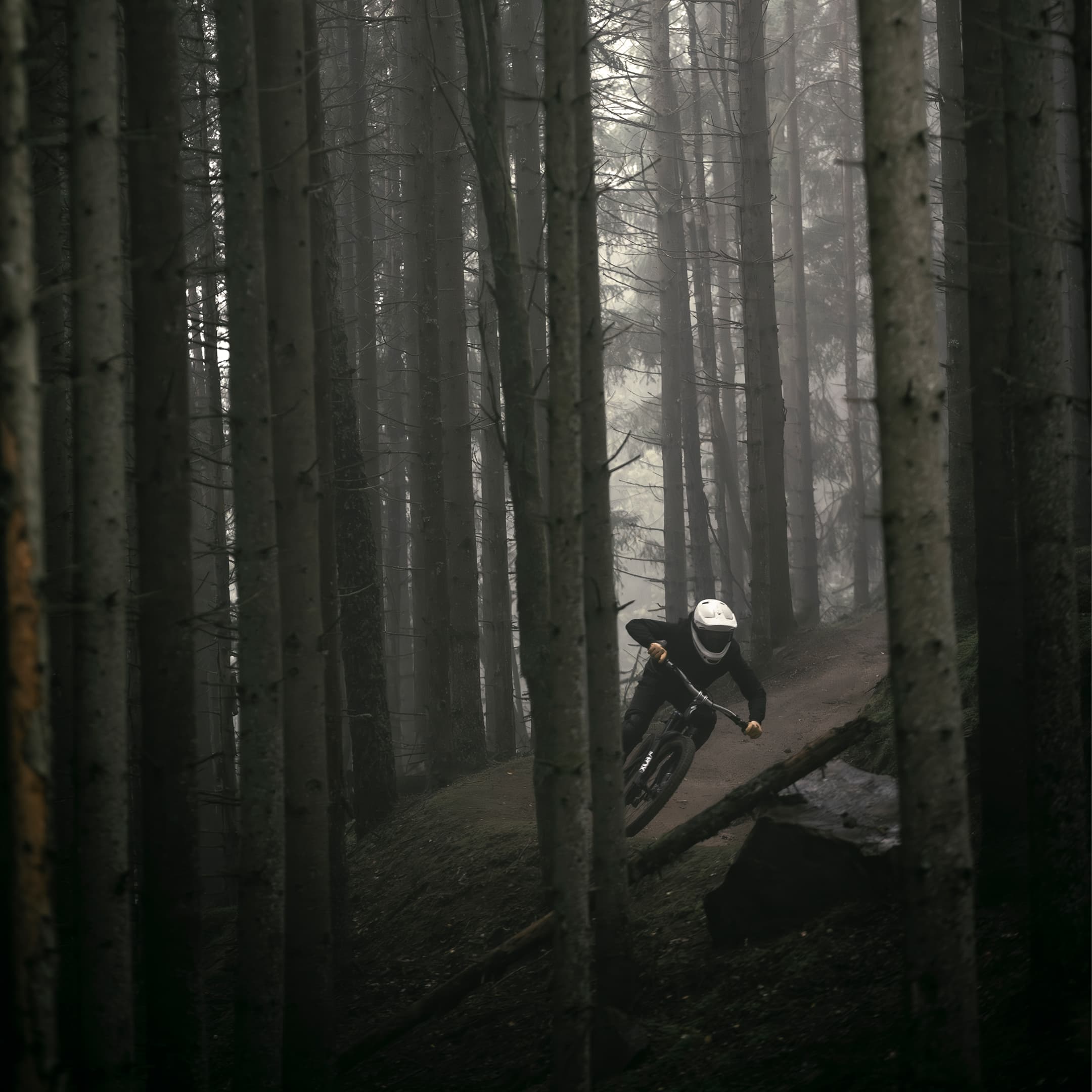 Mountain biker wearing a helmet, navigating a narrow, misty trail through dense forest trees.