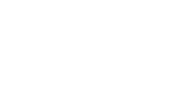 White POC logo.