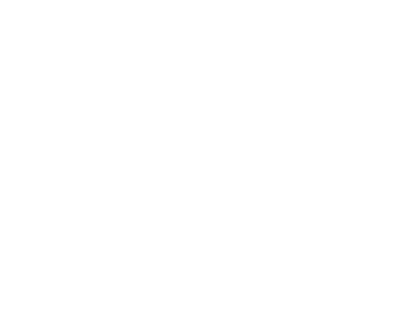 White Silva logo.