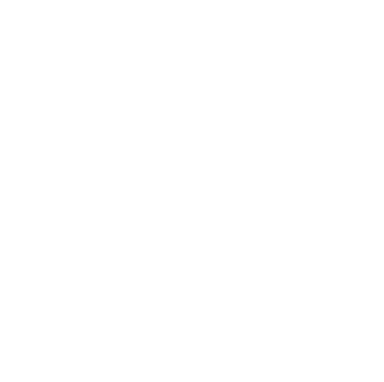 White Rossignol logo.