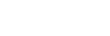 White Salomon logo.