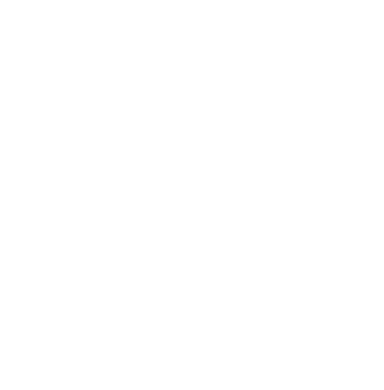 White Völkl logo.