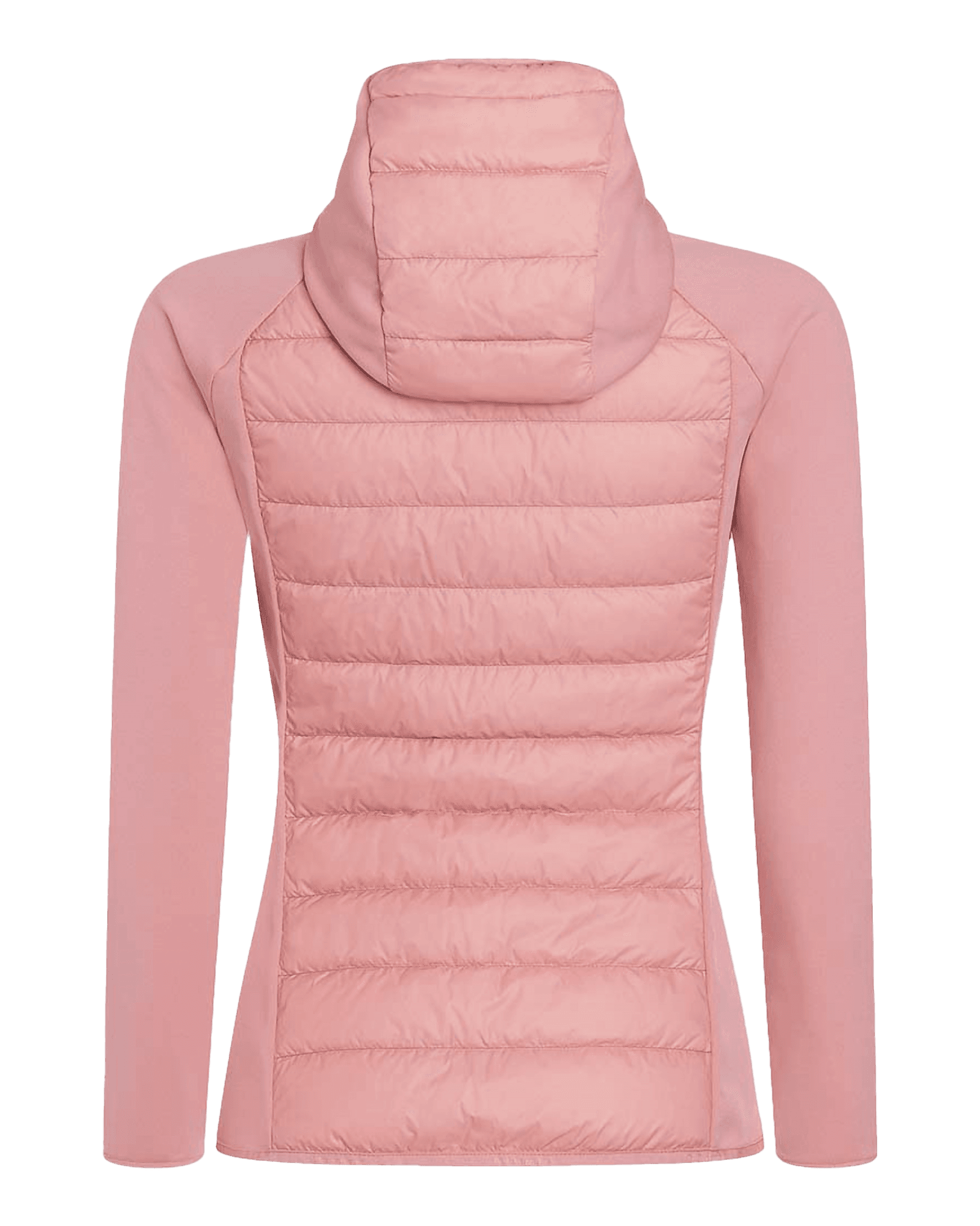 Warm Blush