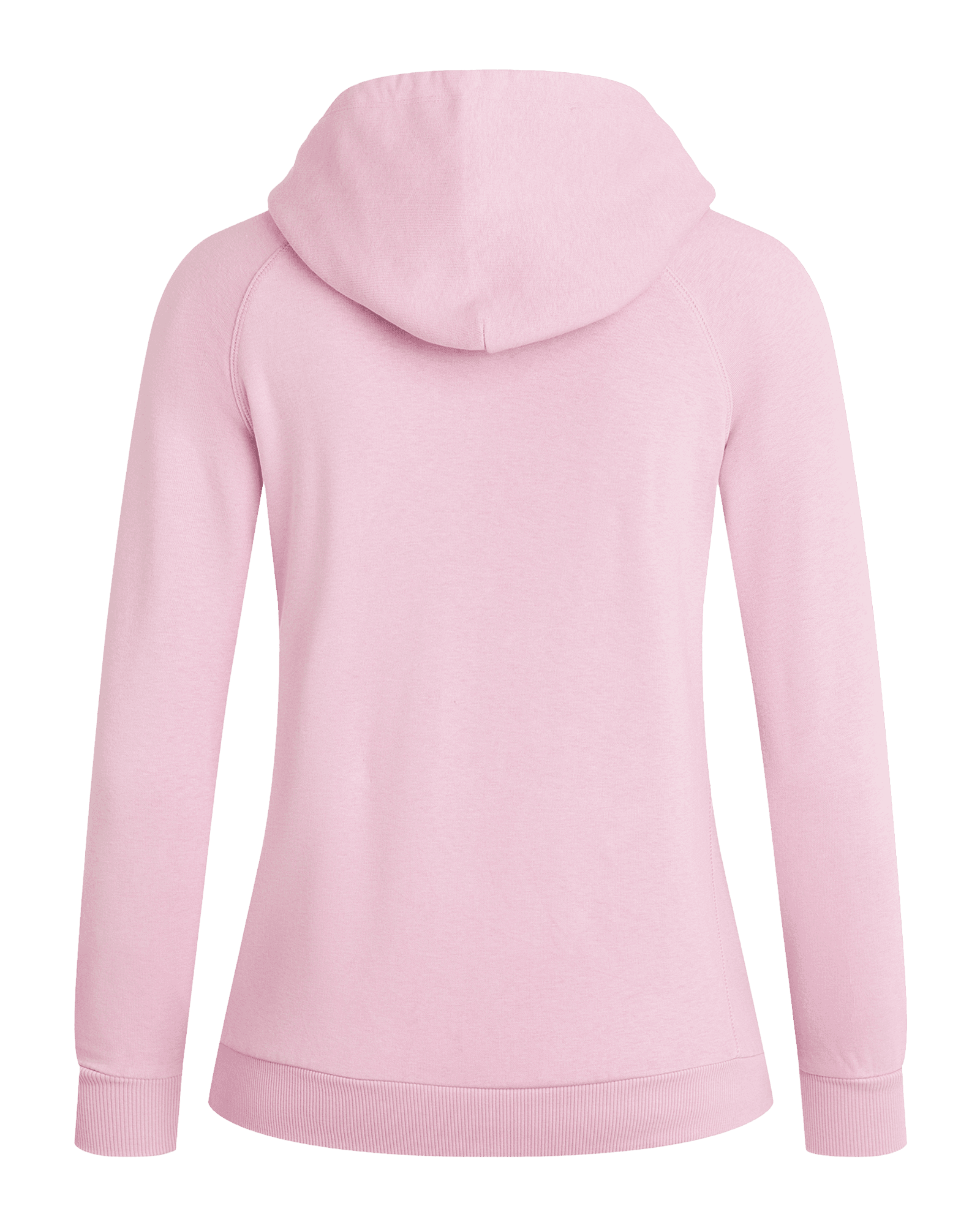 Statice Lilac