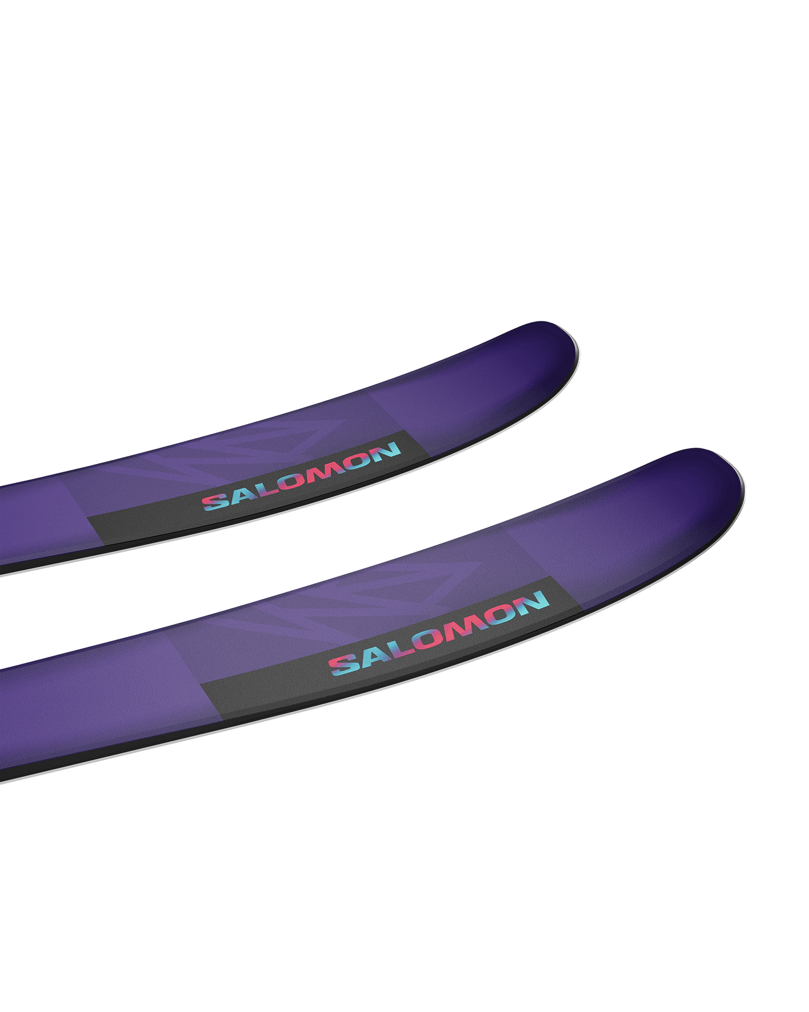 Tillandsia Purple/Pastel Neon Blue 3/Poppy Red