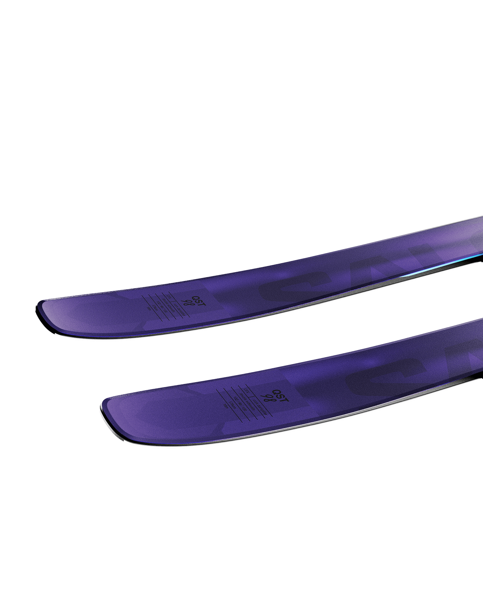 Tillandsia Purple/Pastel Neon Blue 3/Poppy Red