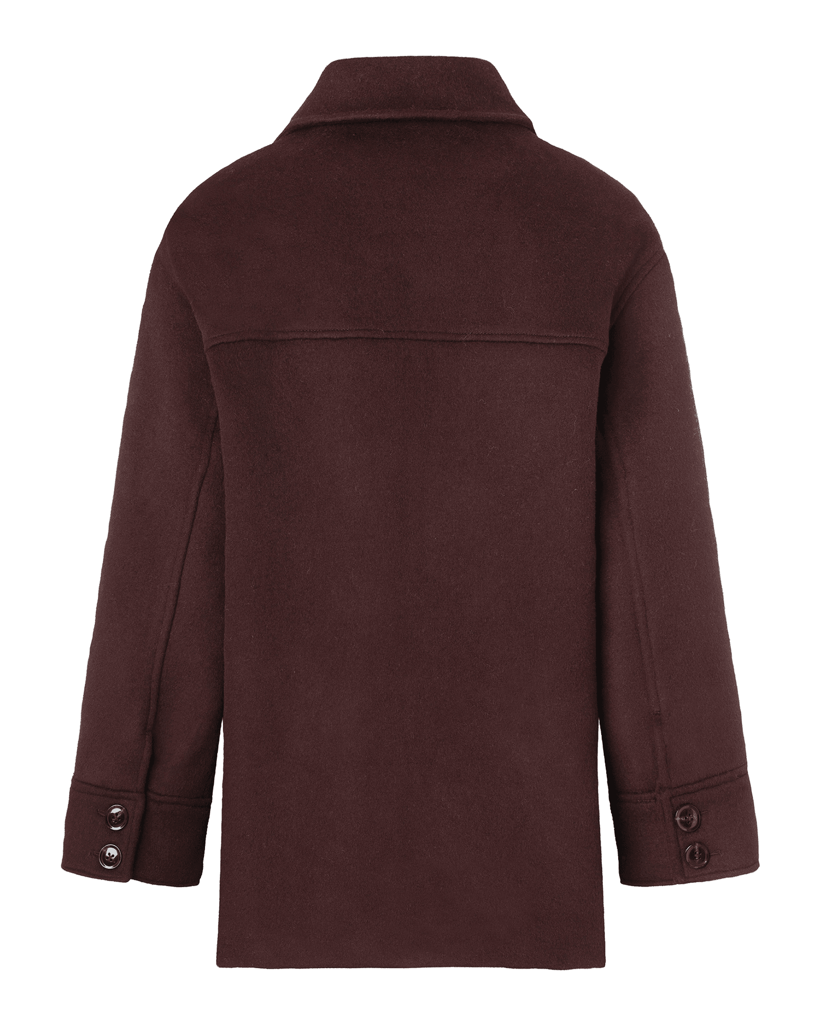 Chocolate Plum