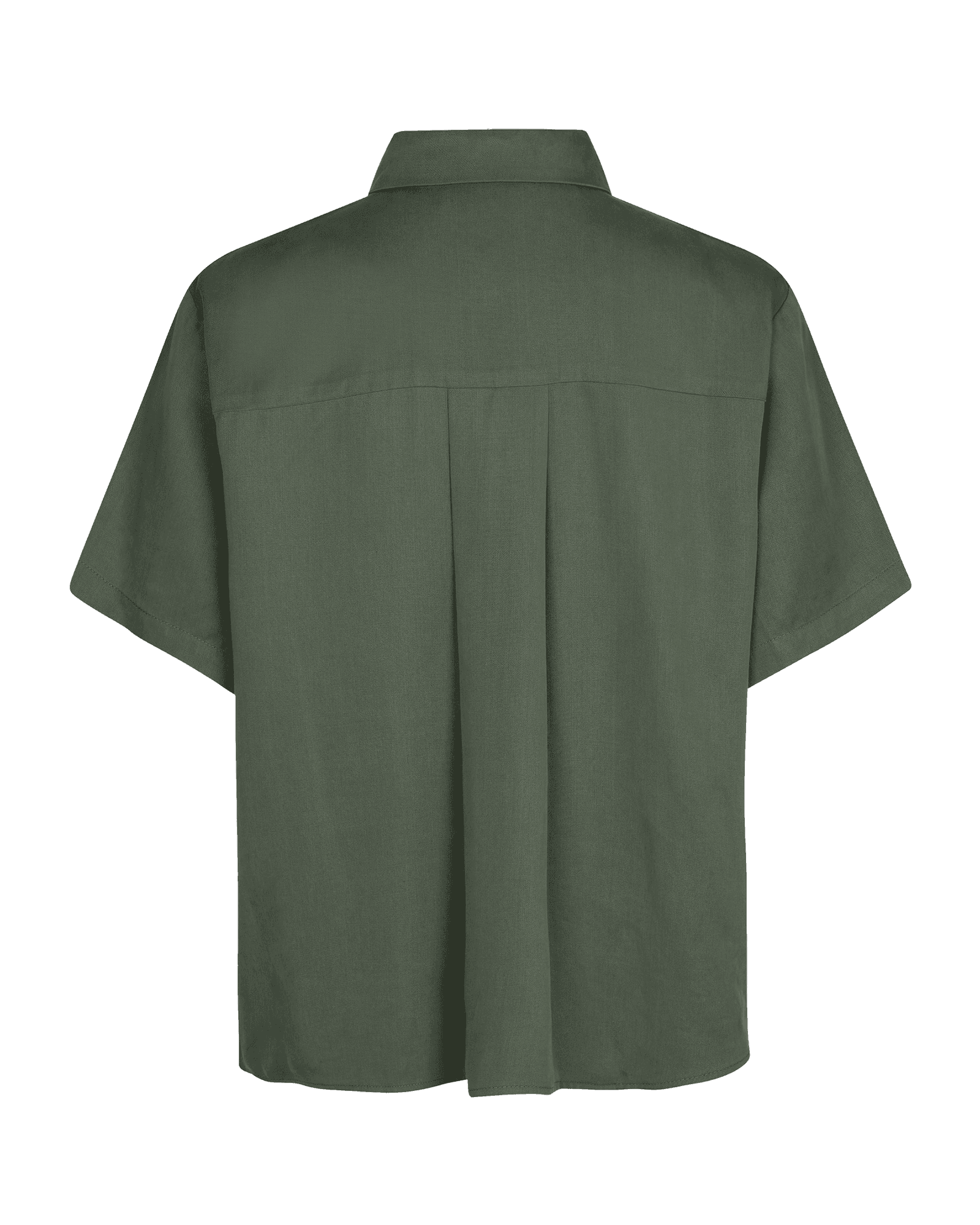 Dusty Olive