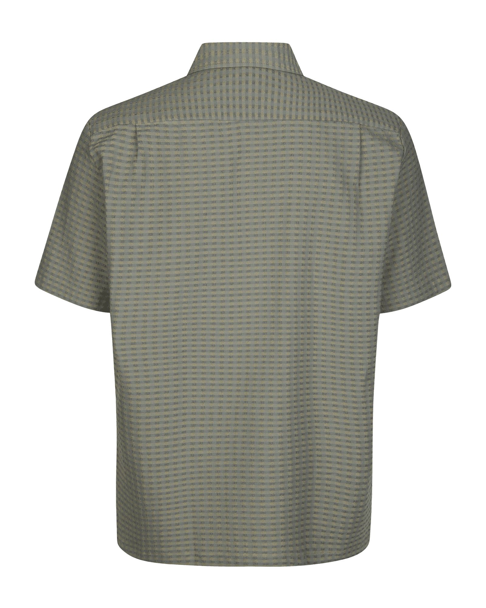 Dusty Olive