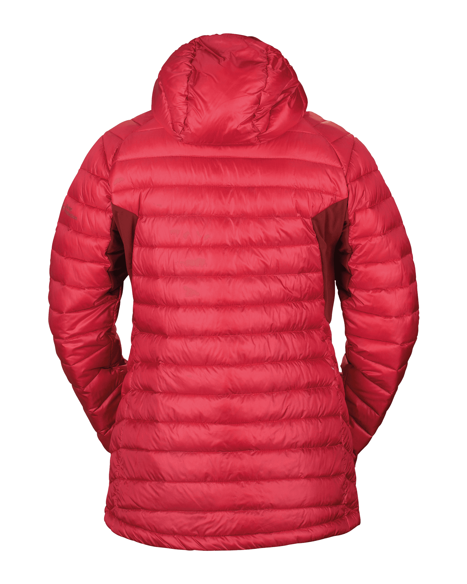 Rubus Red