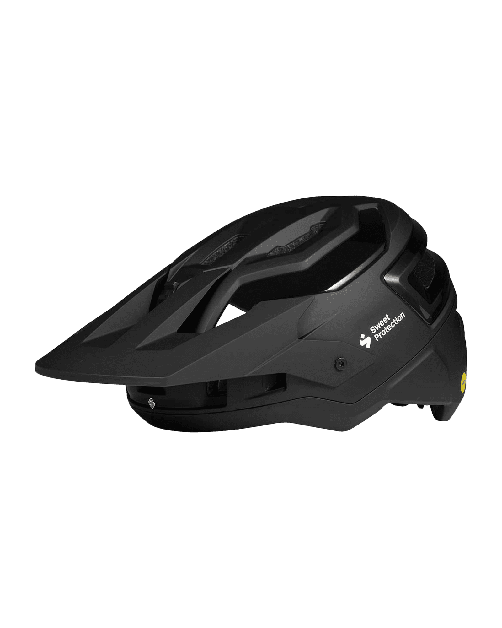 Bushwhacker 2Vi Mips Helmet Matte Black