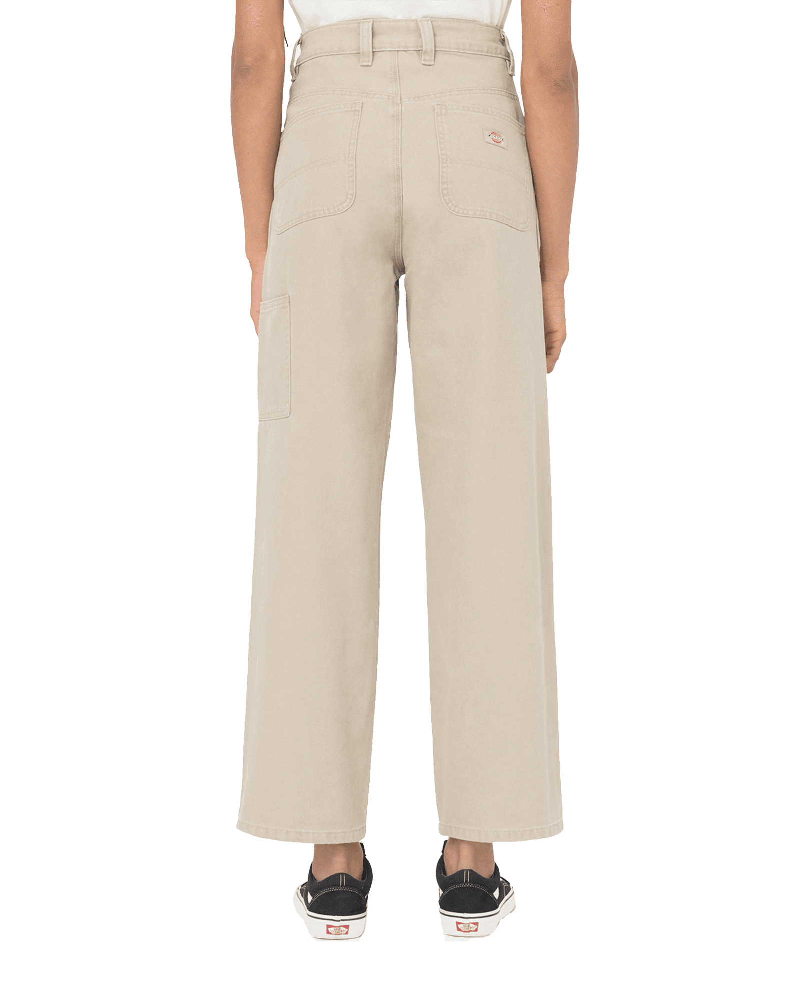 SW Desert Sand