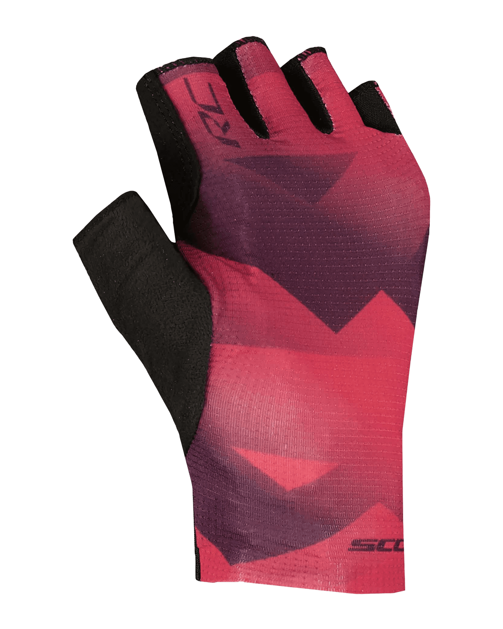 Carmine Pink/Dark Purple