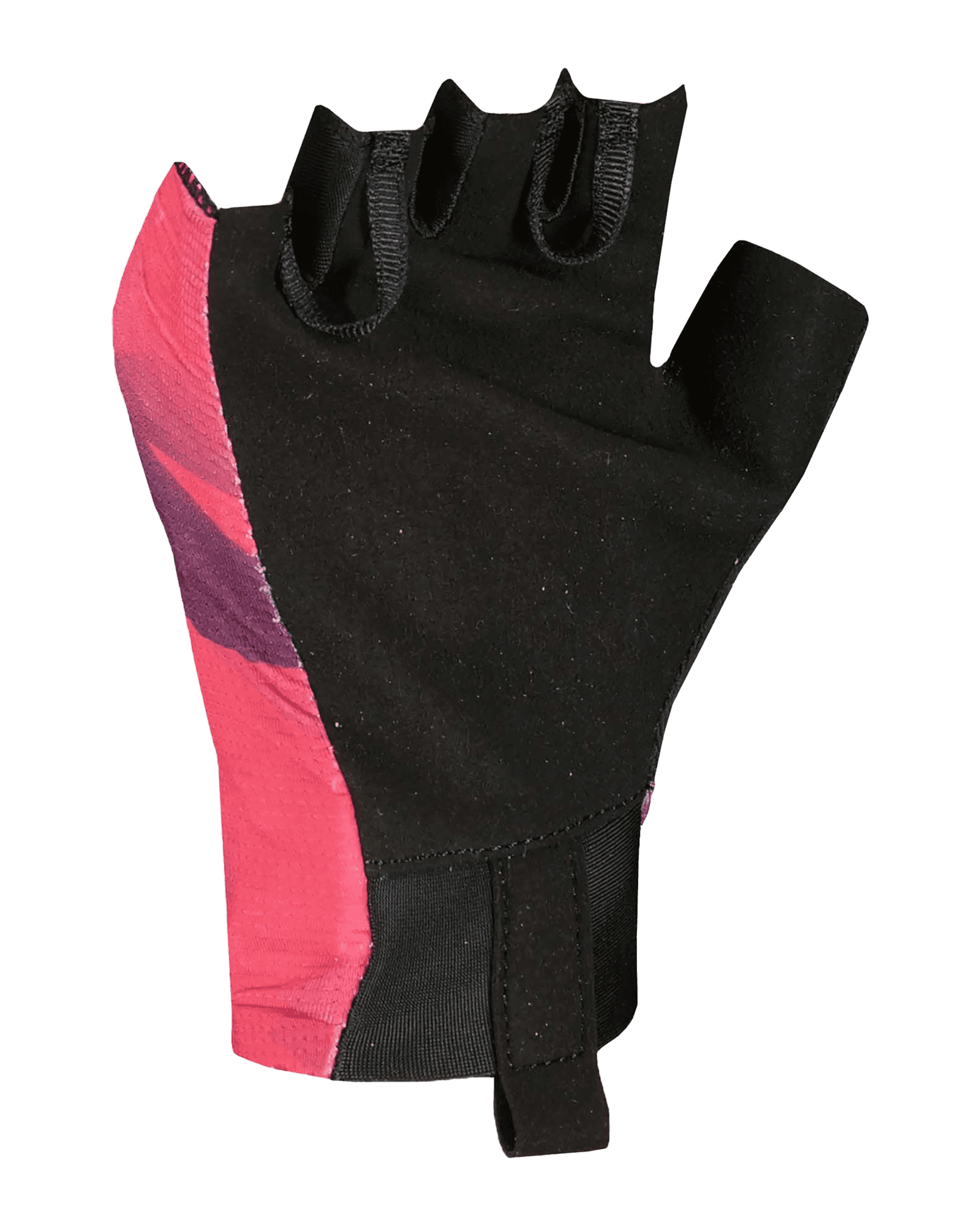 Carmine Pink/Dark Purple