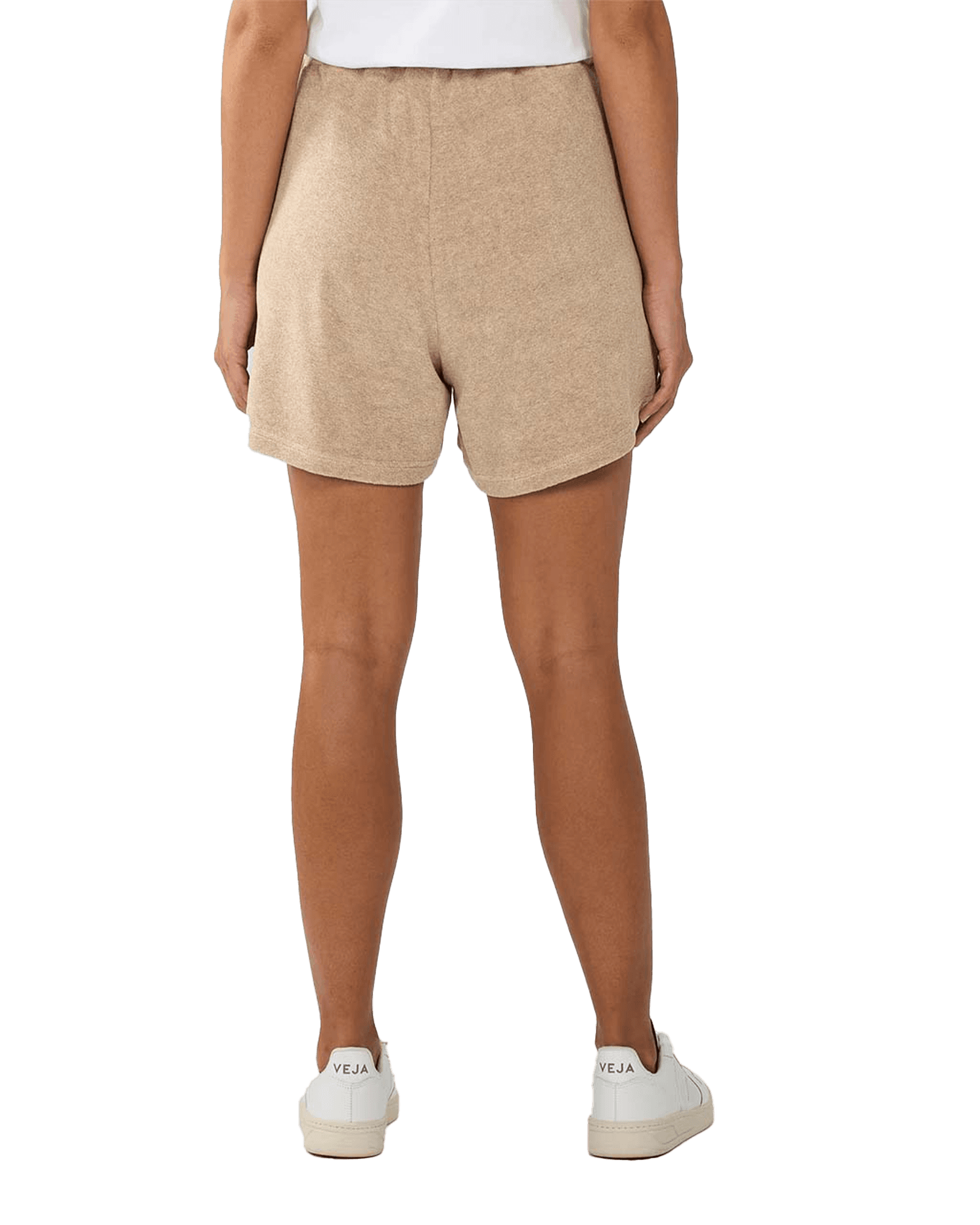 1347 Safari