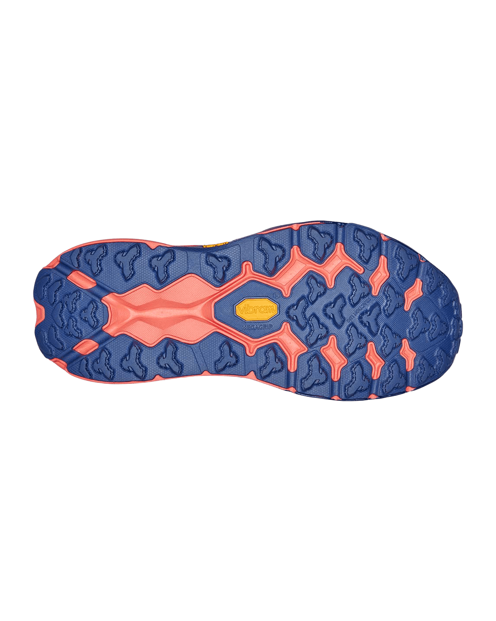 Bellwether Blue/Camellia