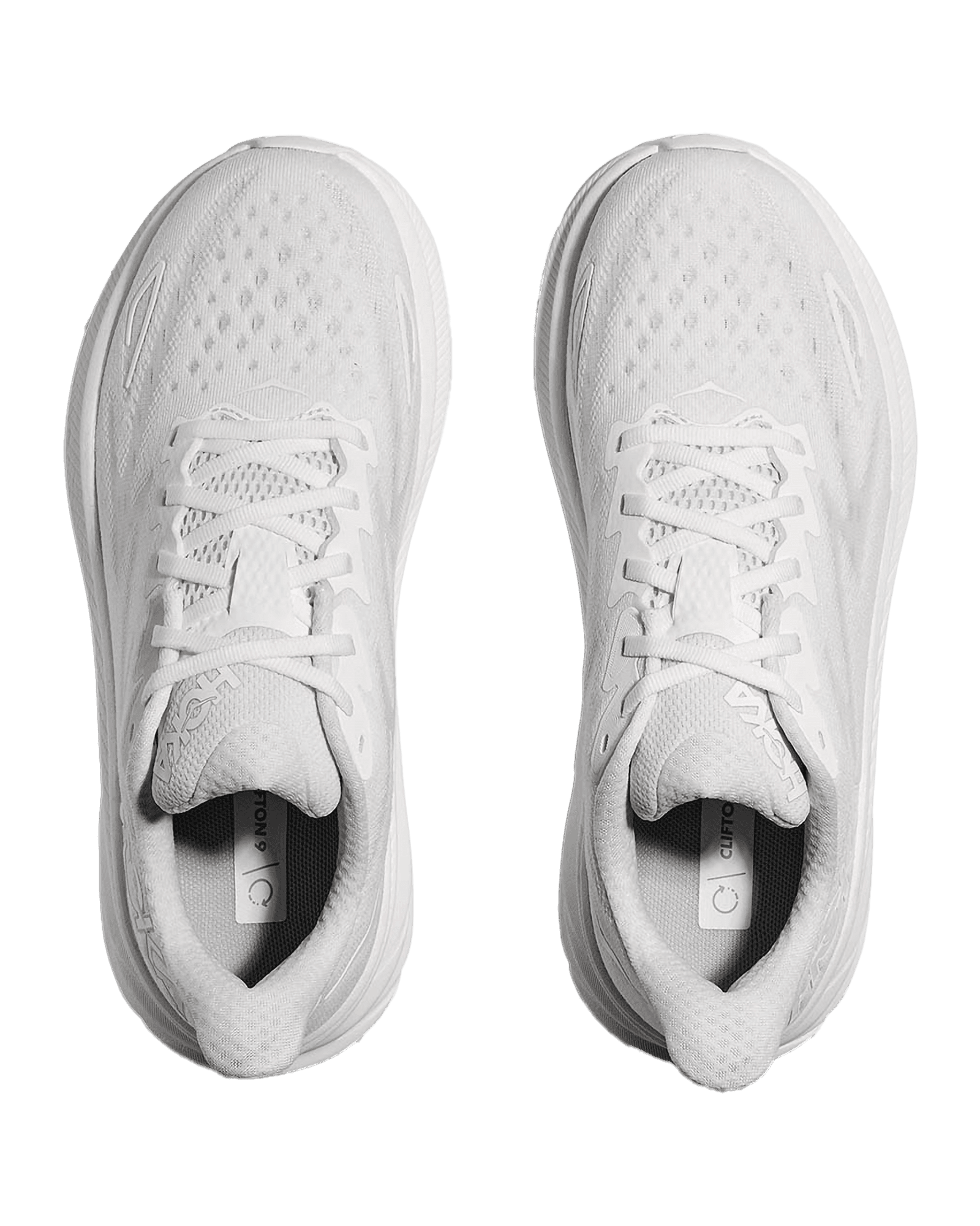 White/White