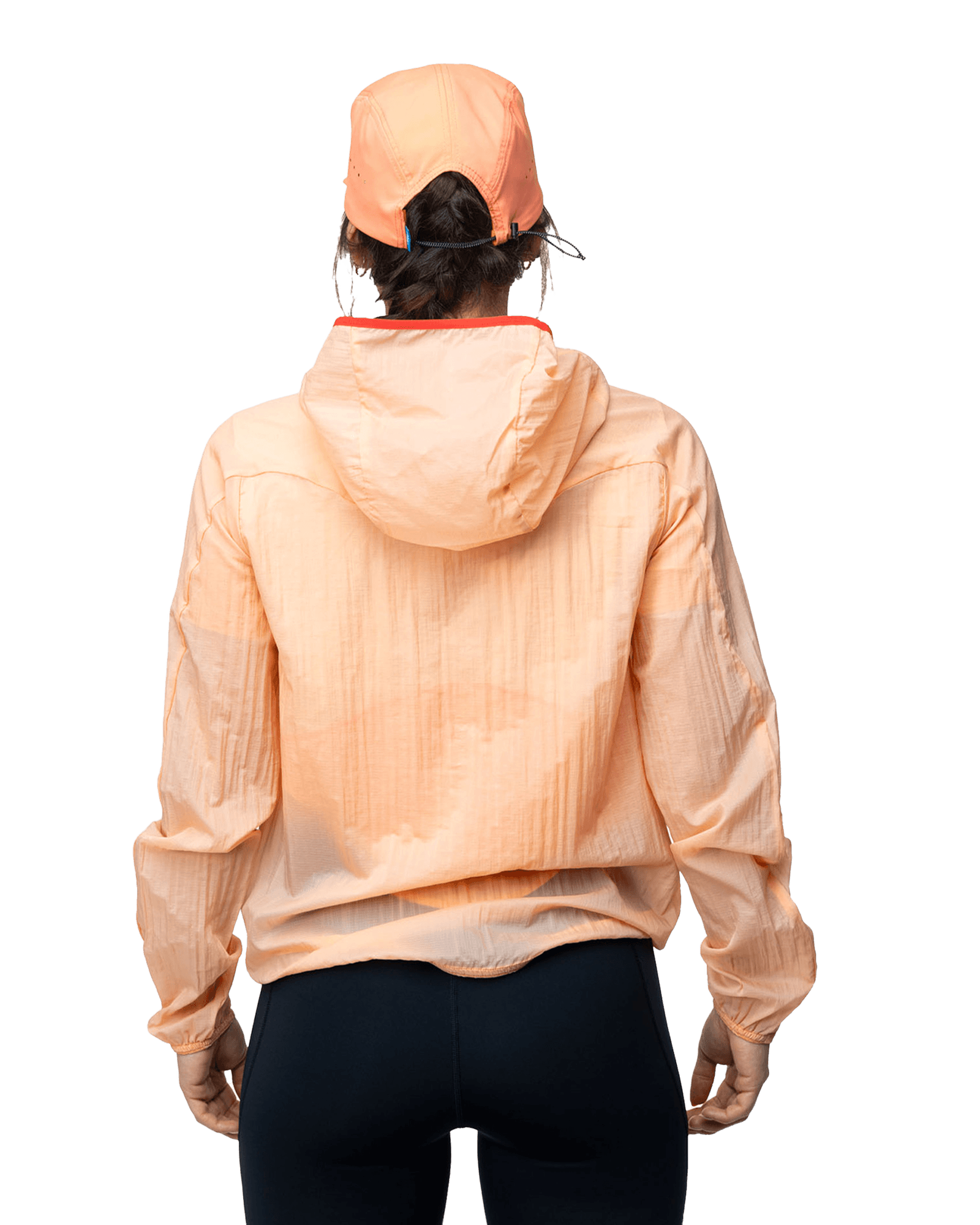 Apricot
