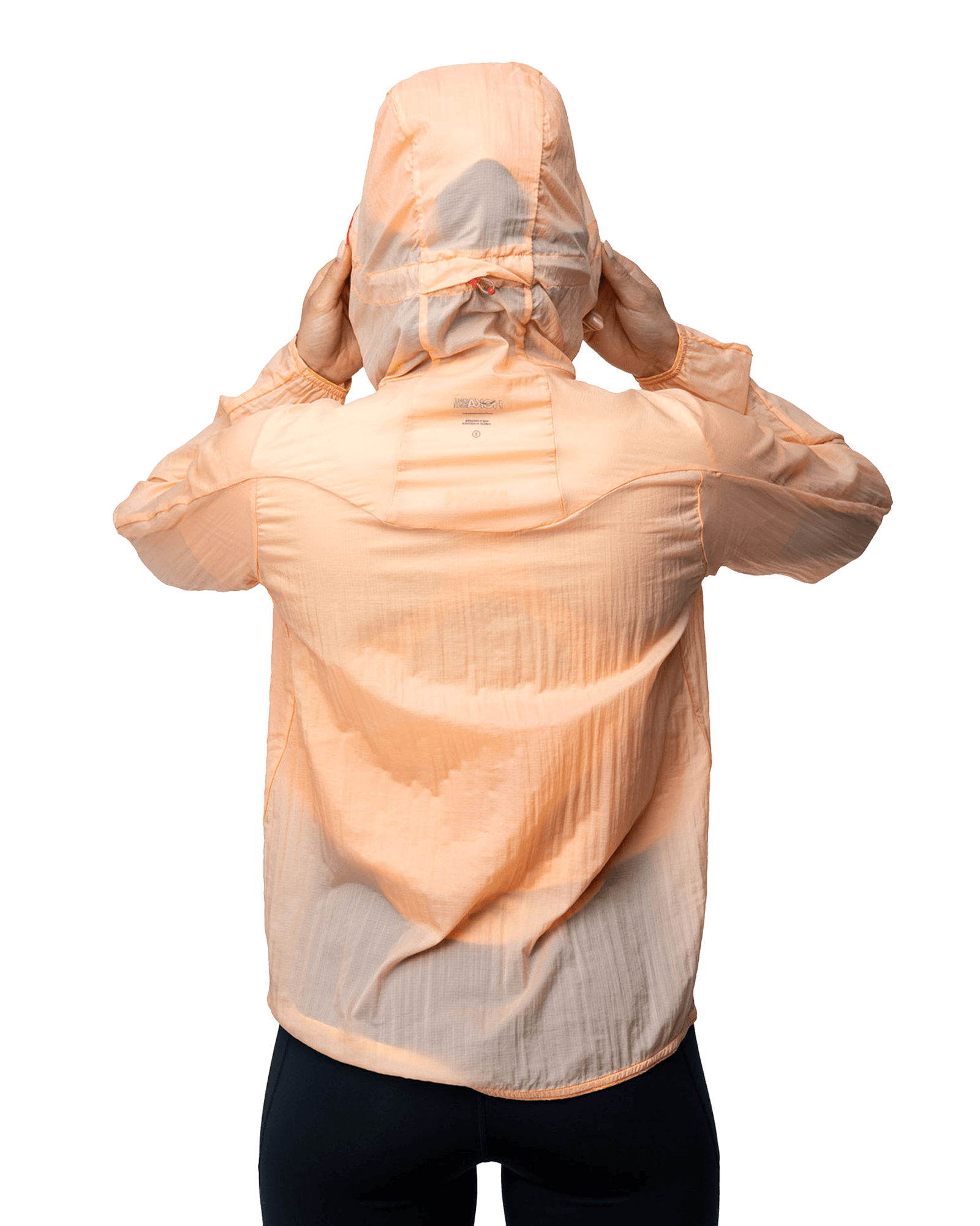 Apricot