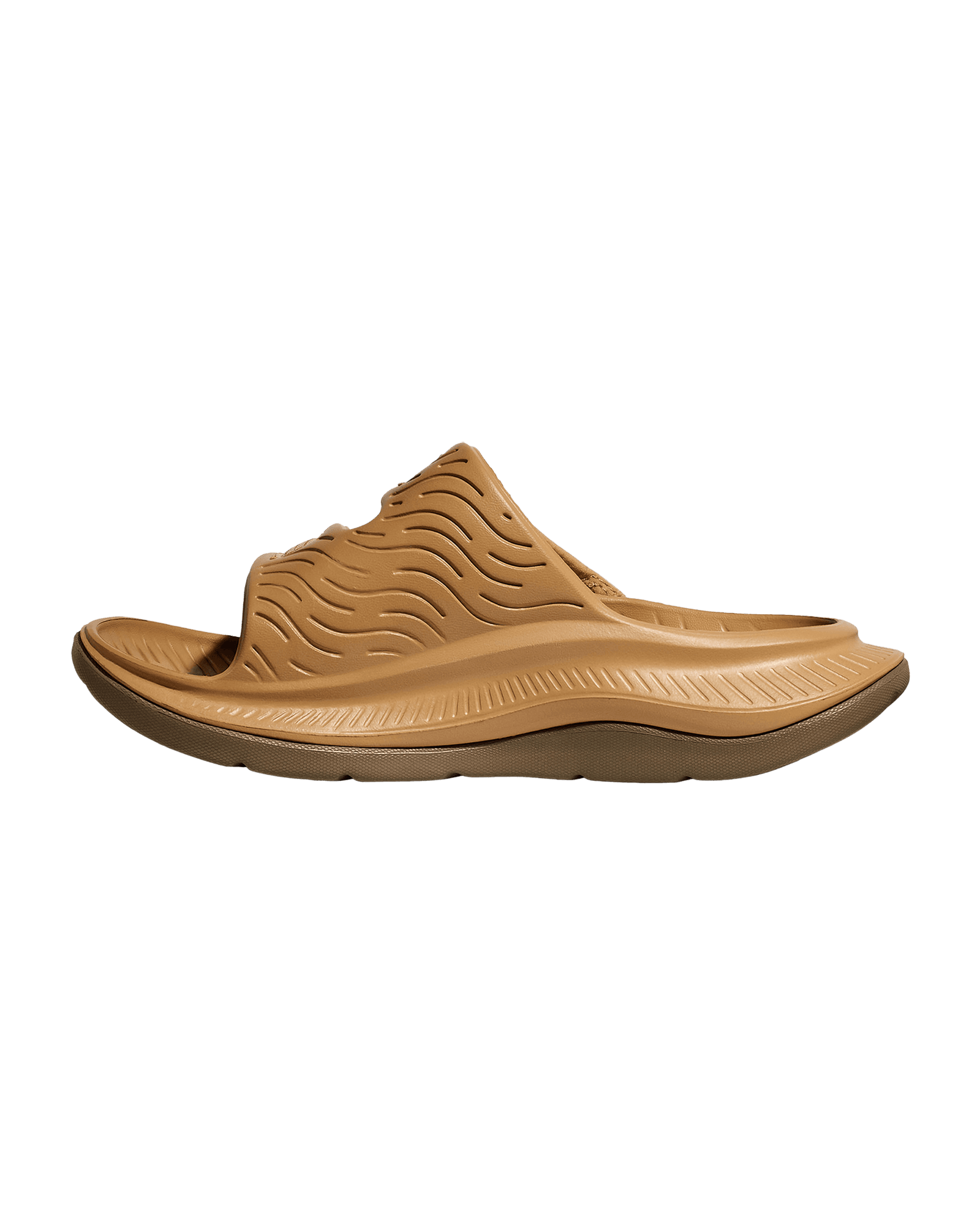 Wheat/Mushroom